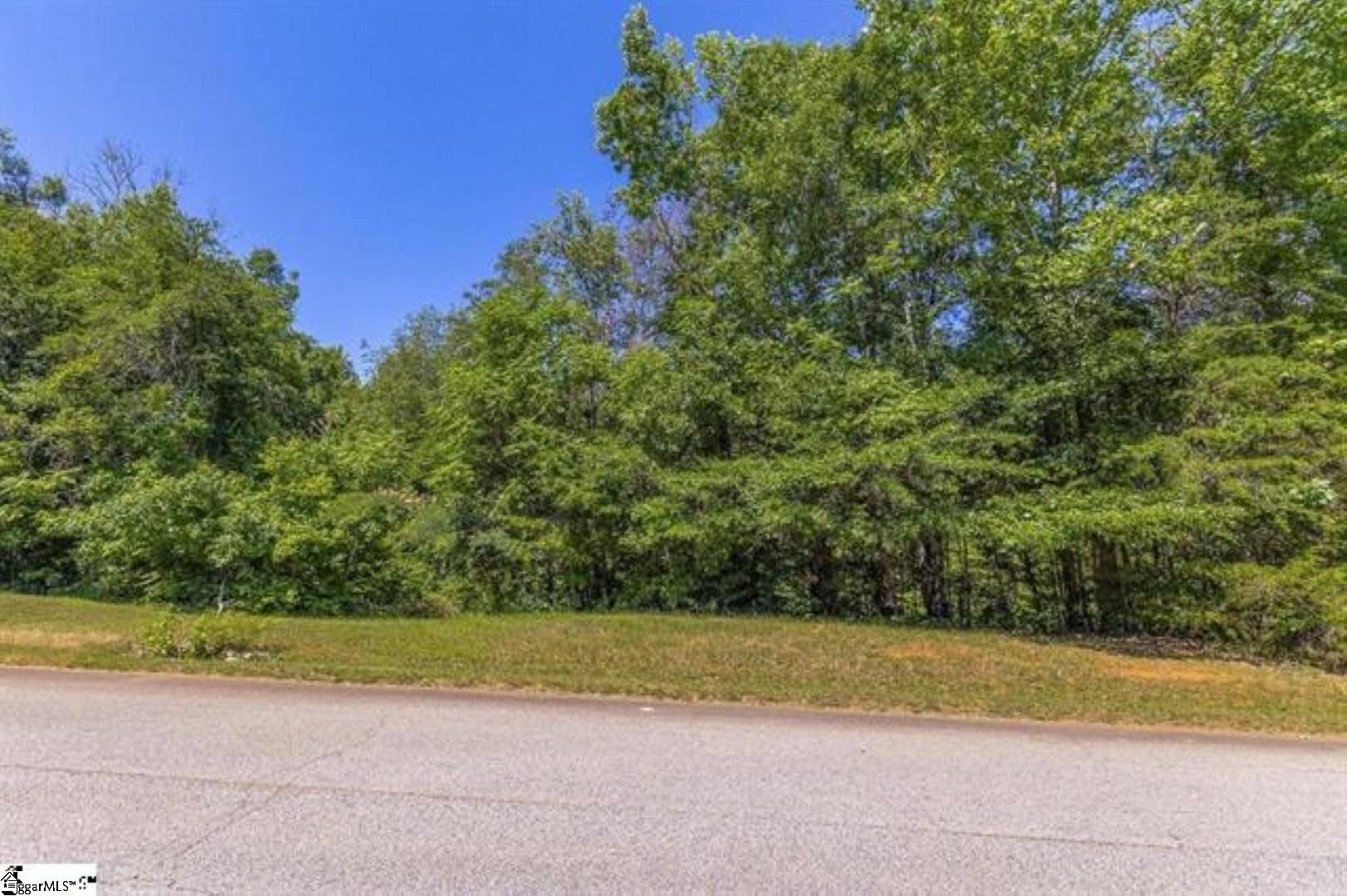 11 Cougar Lane Greenville, SC 29609