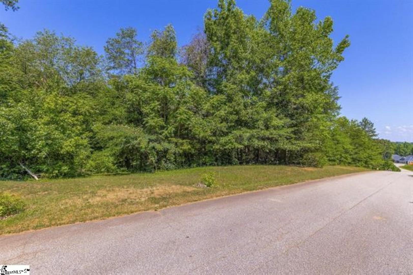 11 Cougar Lane Greenville, SC 29609