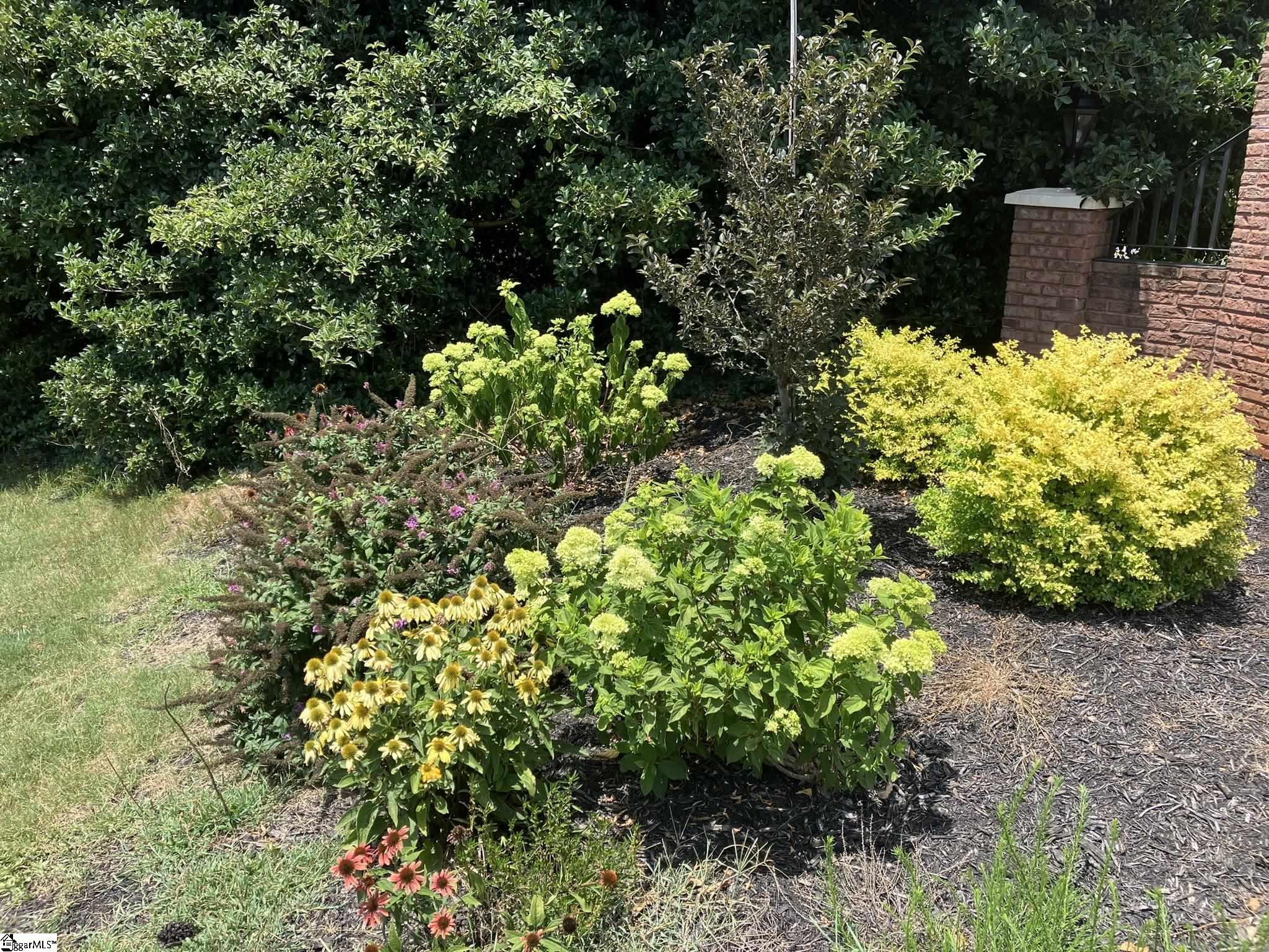 704 Adaline Drive Inman, SC 29349