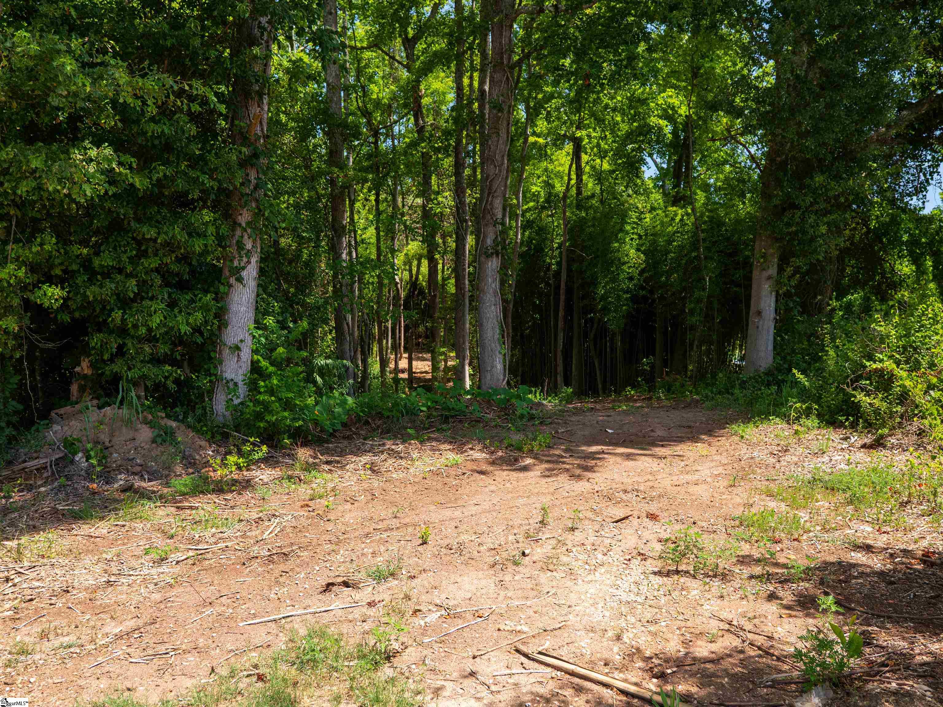 00 Spearman Road Pelzer, SC 29669