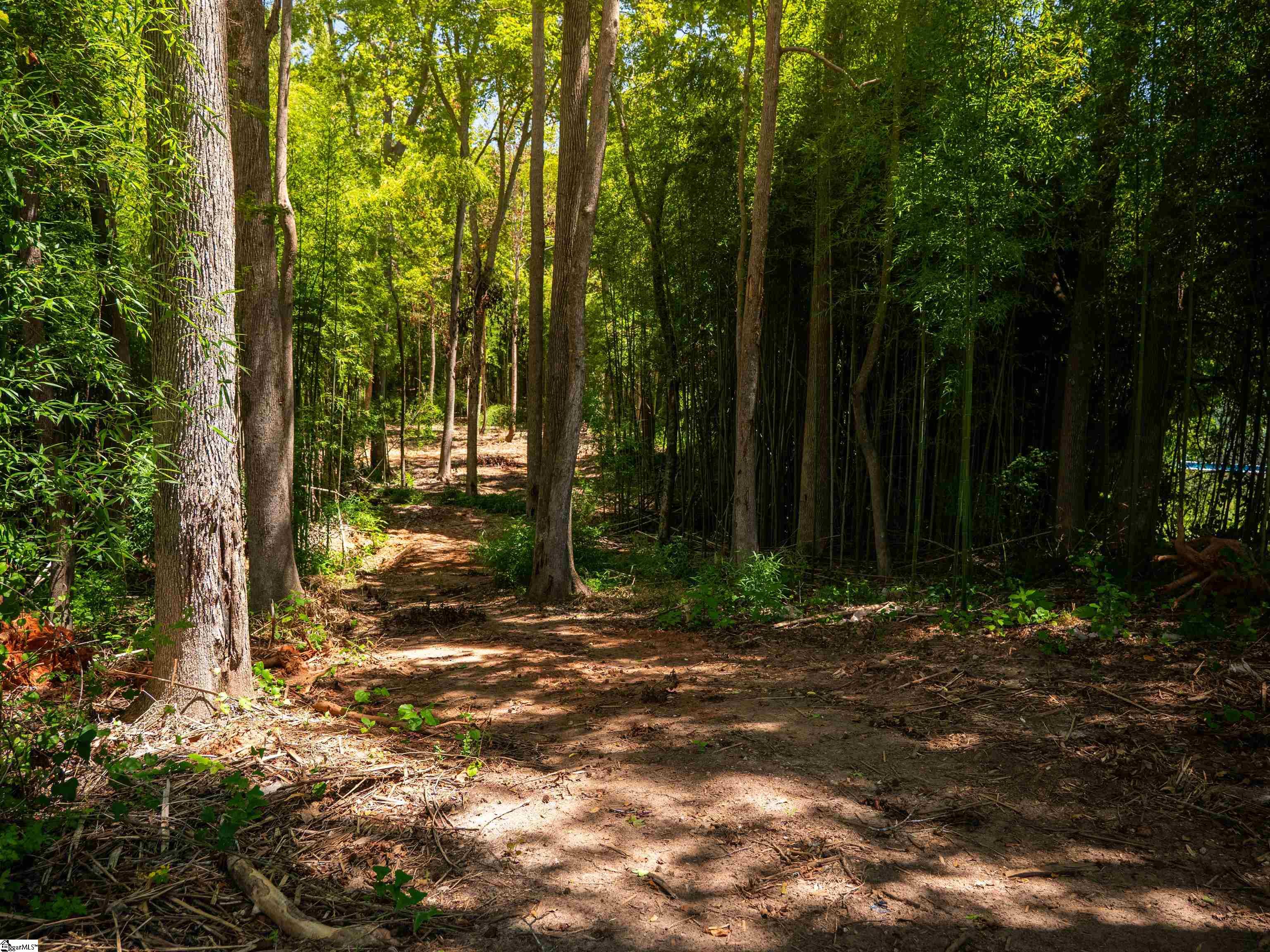 00 Spearman Road Pelzer, SC 29669