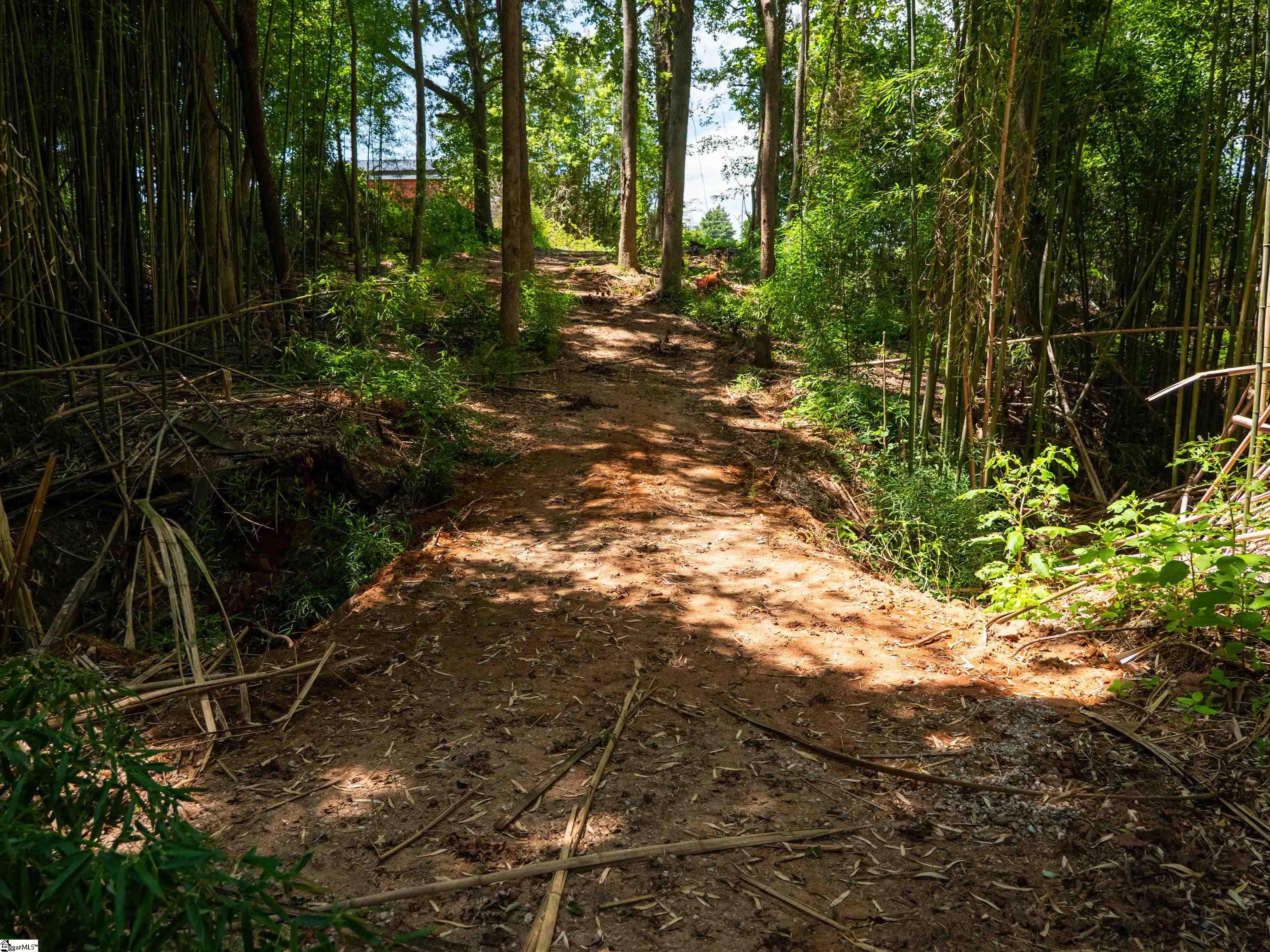 00 Spearman Road Pelzer, SC 29669