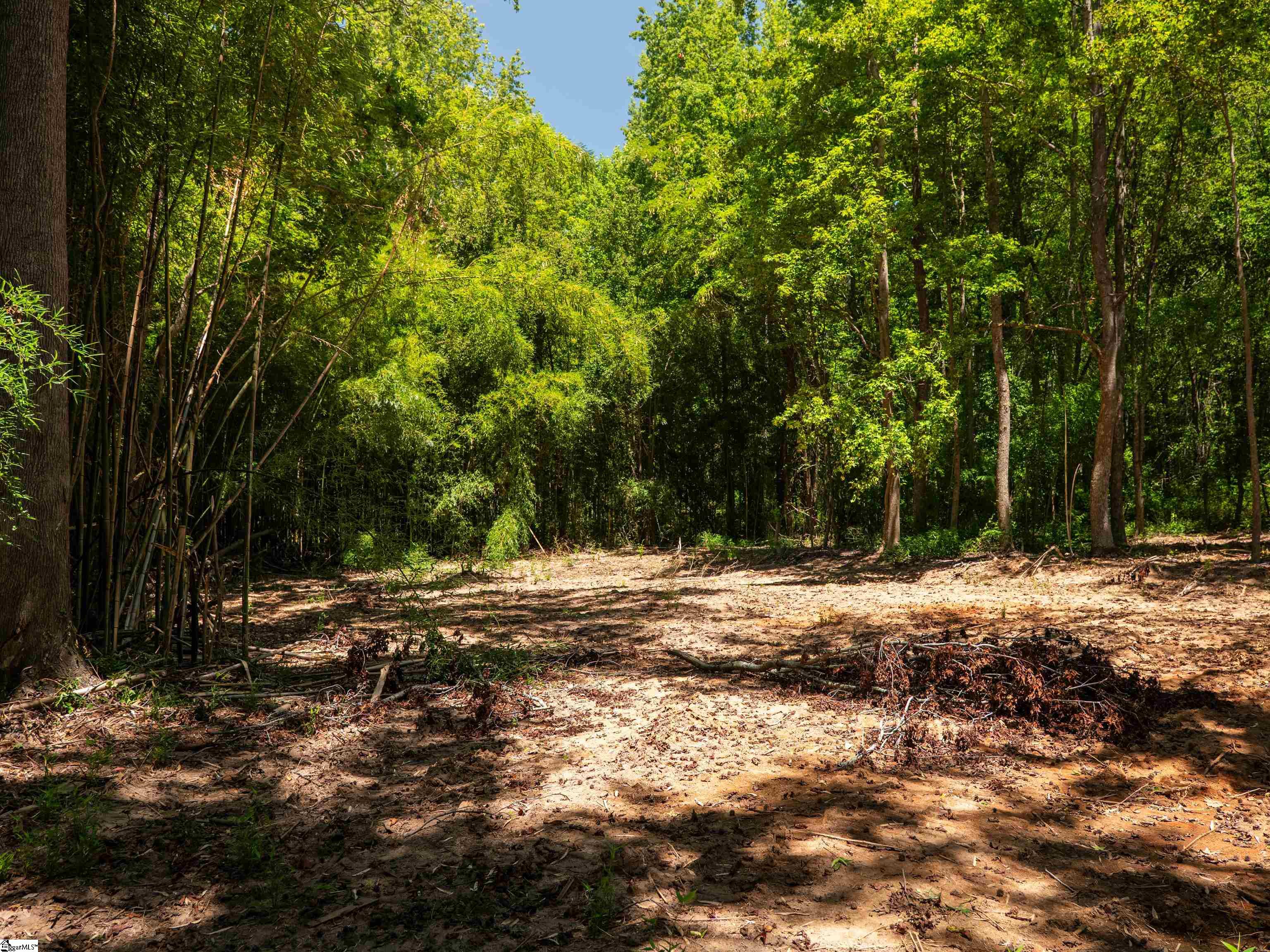 00 Spearman Road Pelzer, SC 29669