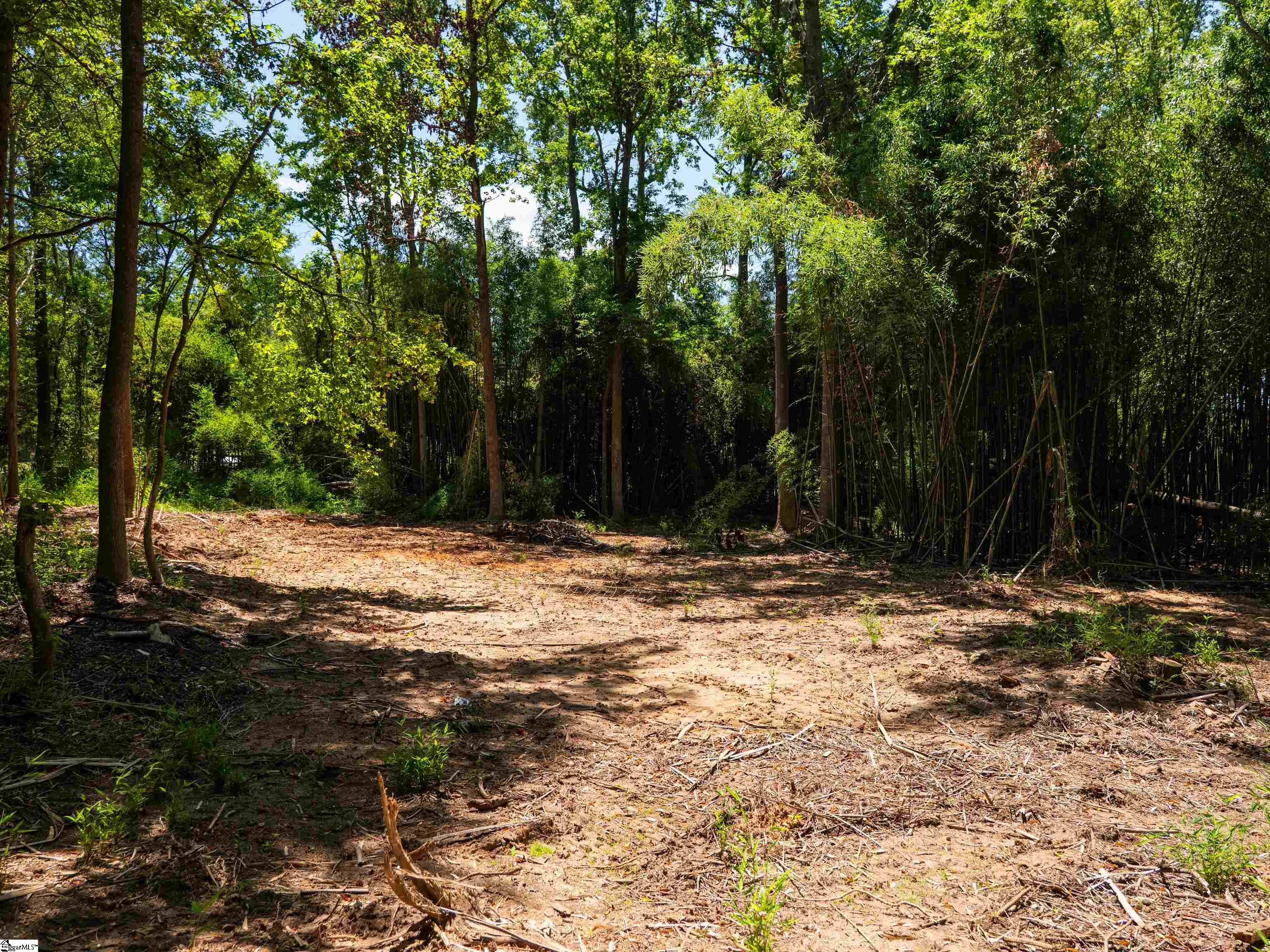 00 Spearman Road Pelzer, SC 29669
