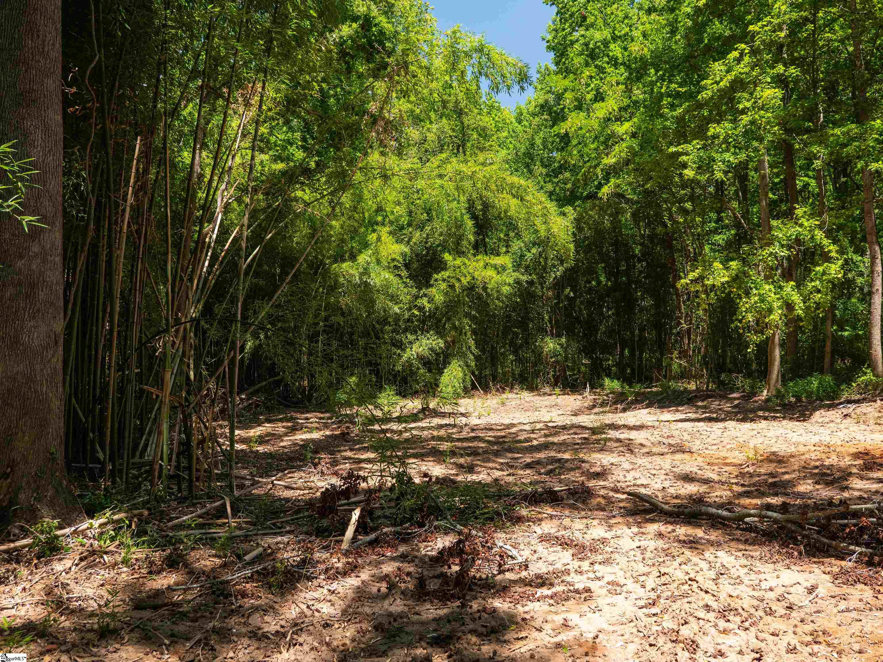 00 Spearman Road Pelzer, SC 29669