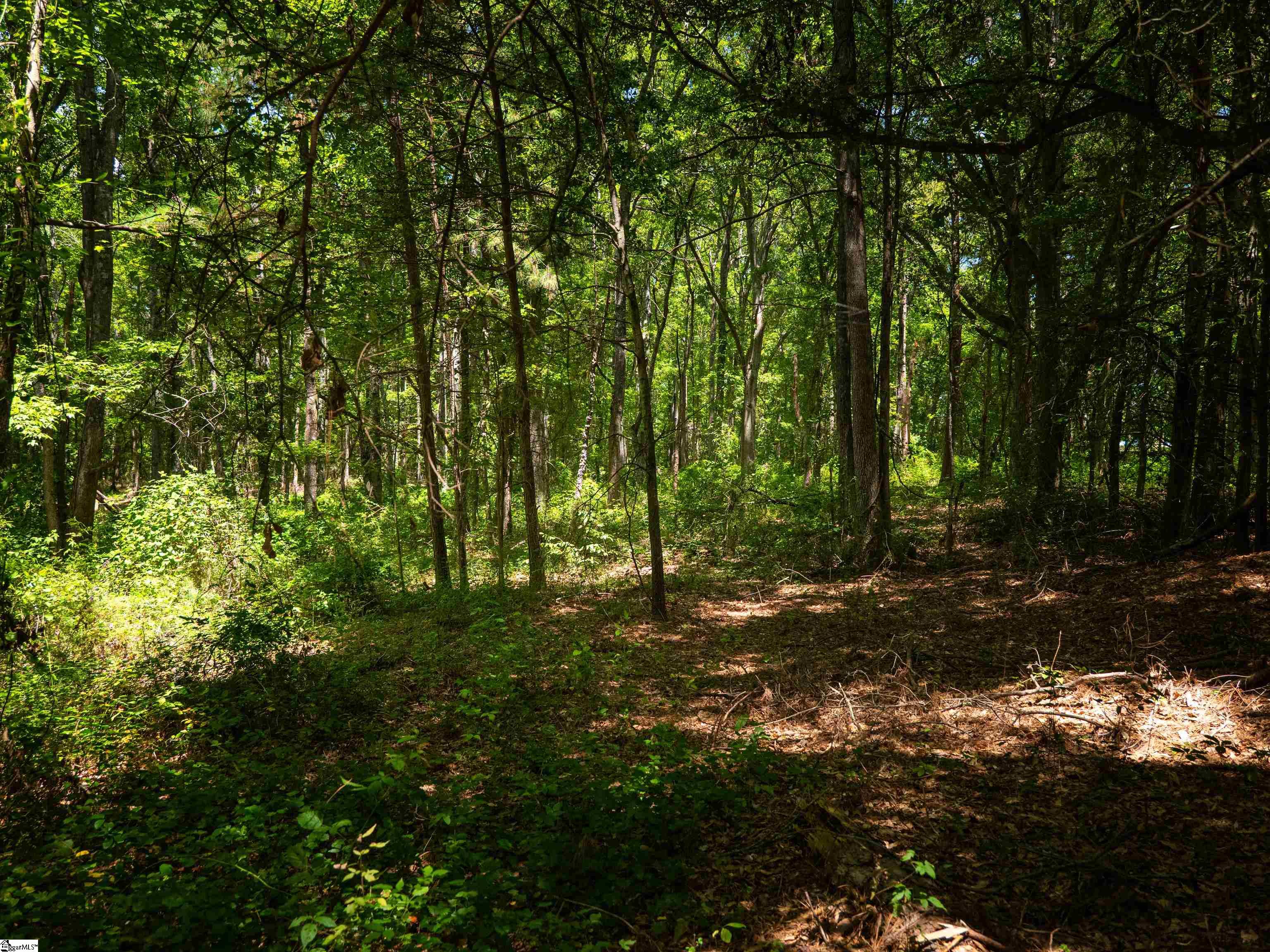 00 Spearman Road Pelzer, SC 29669