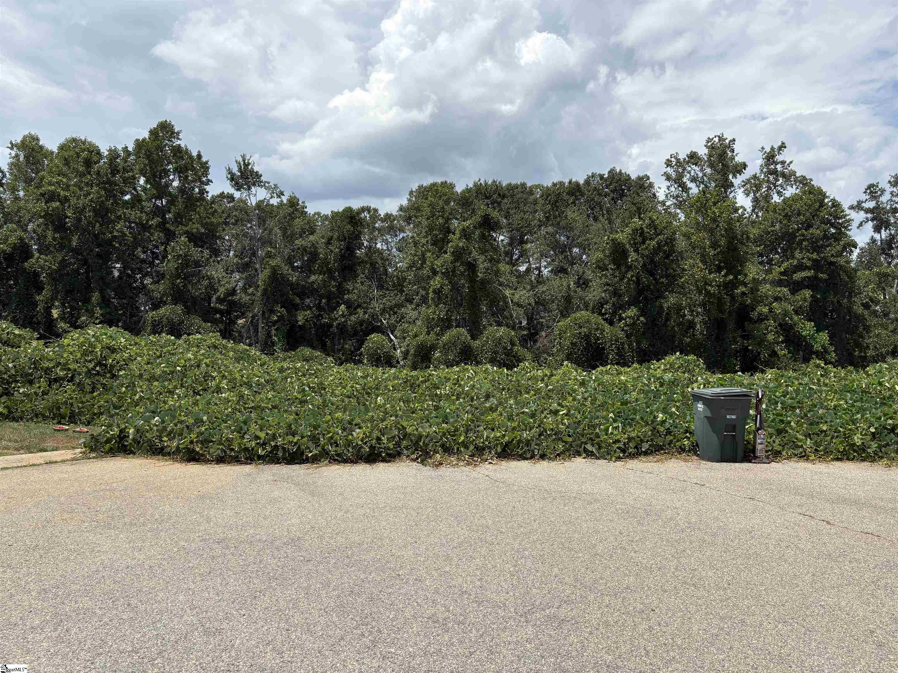 604 Holtview Place Fountain Inn, SC 29644