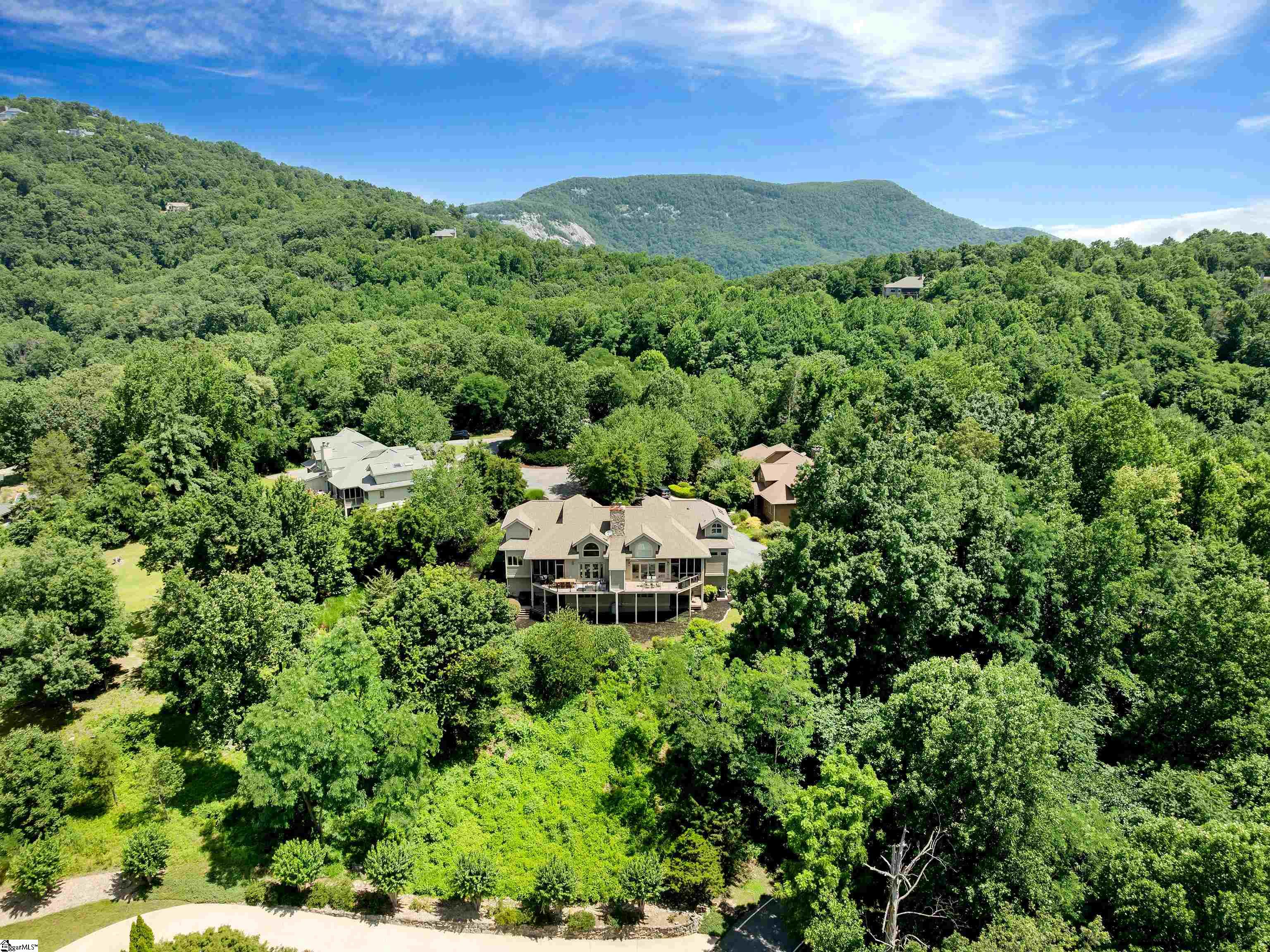 9 Vireo Drive Landrum, SC 29356