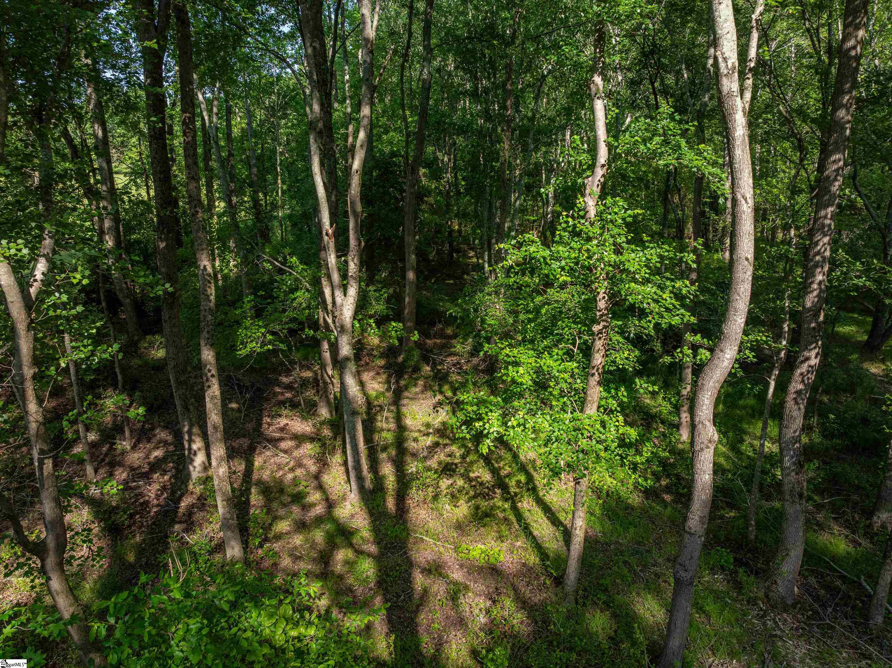 09 Holliday Dam Road Honea Path, SC 29654