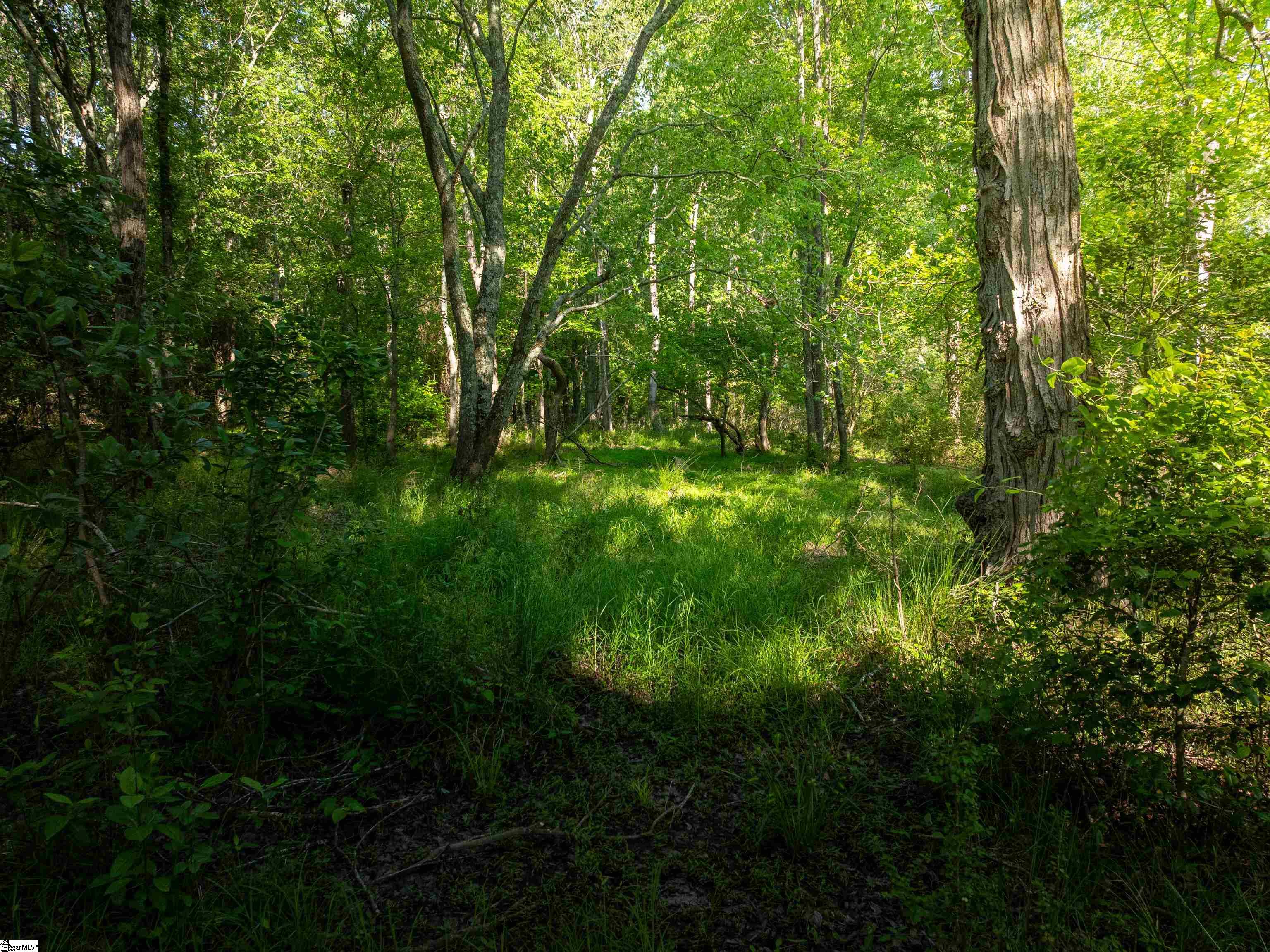 09 Holliday Dam Road Honea Path, SC 29654