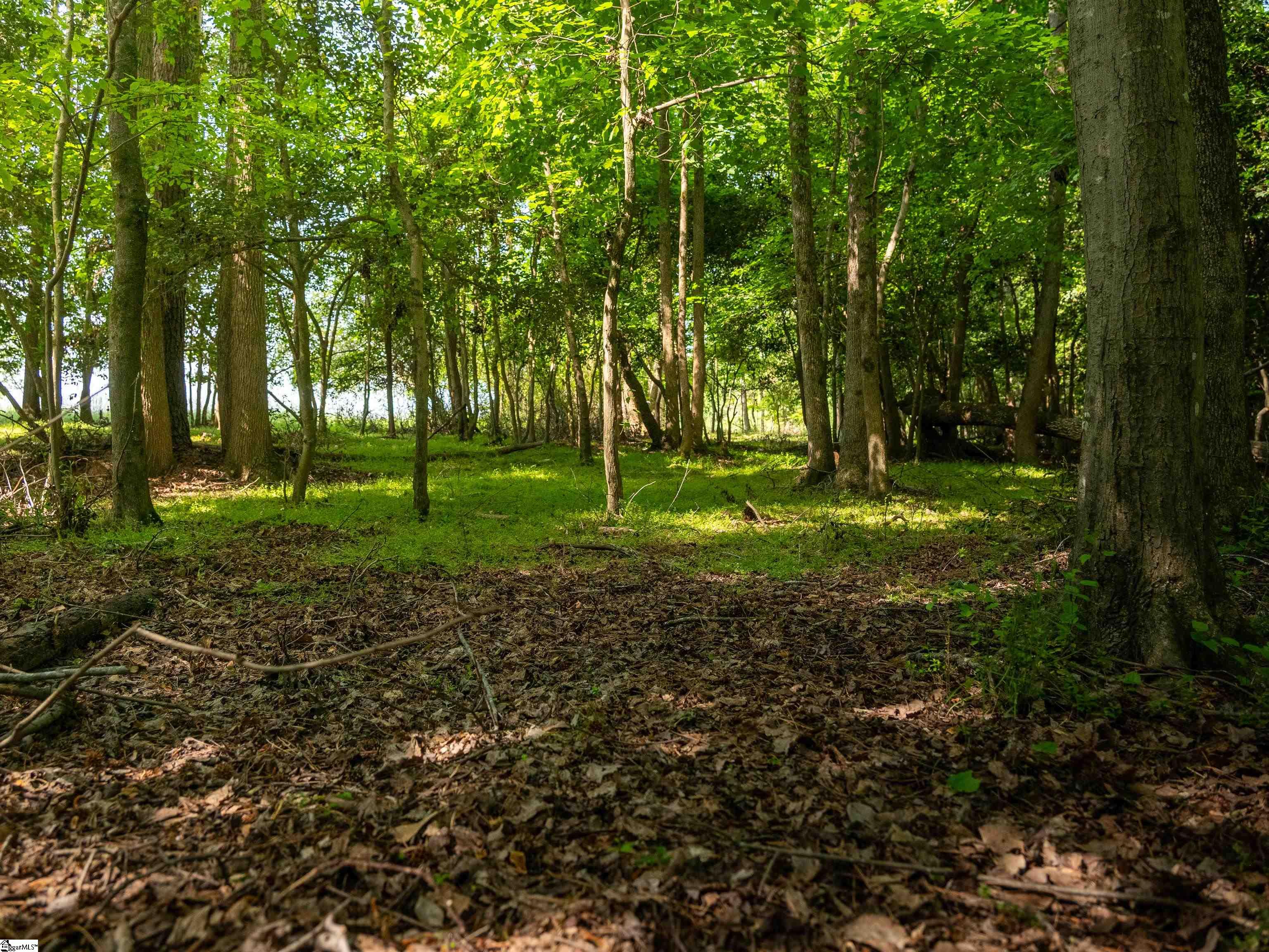 09 Holliday Dam Road Honea Path, SC 29654