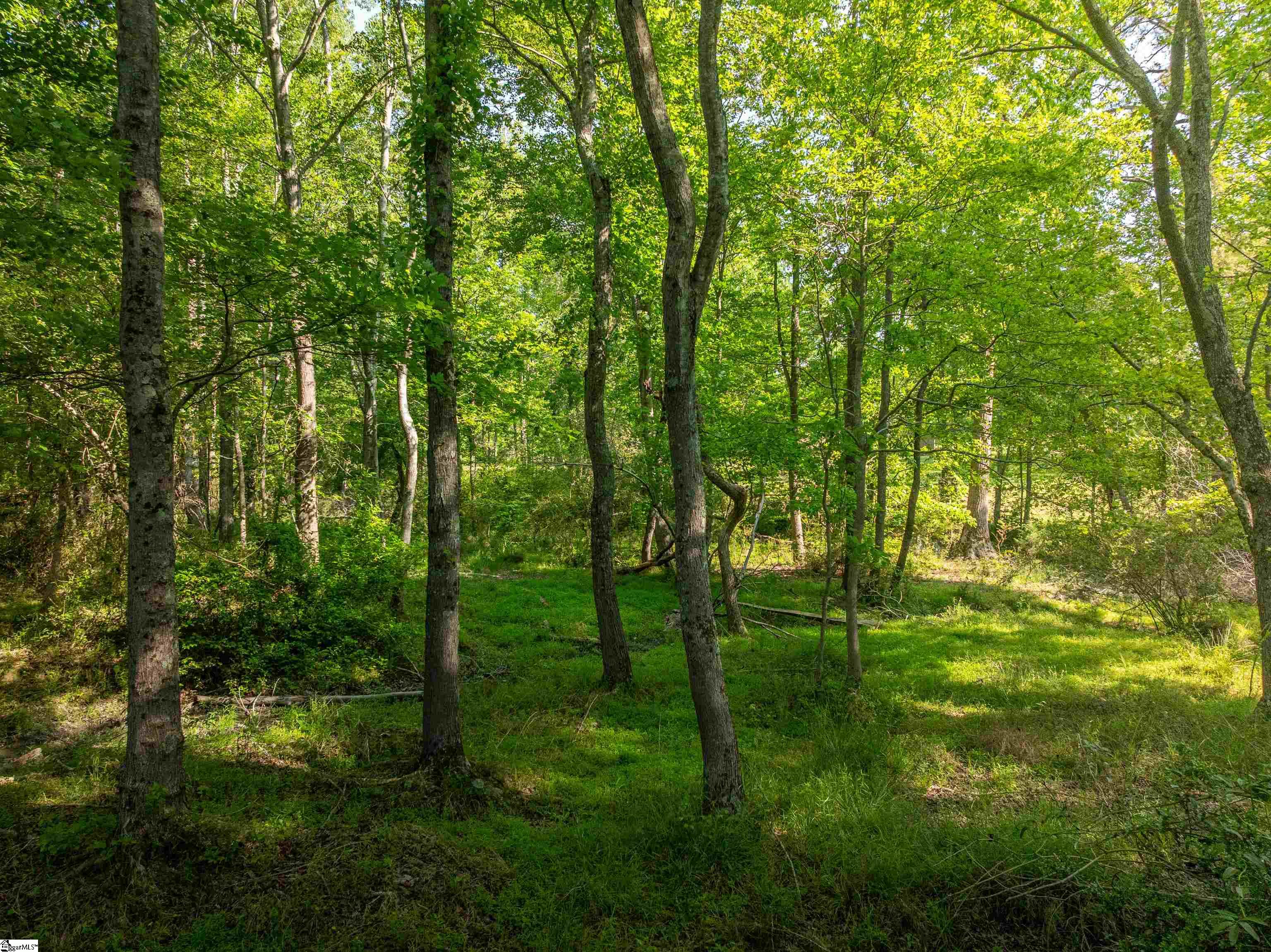 09 Holliday Dam Road Honea Path, SC 29654