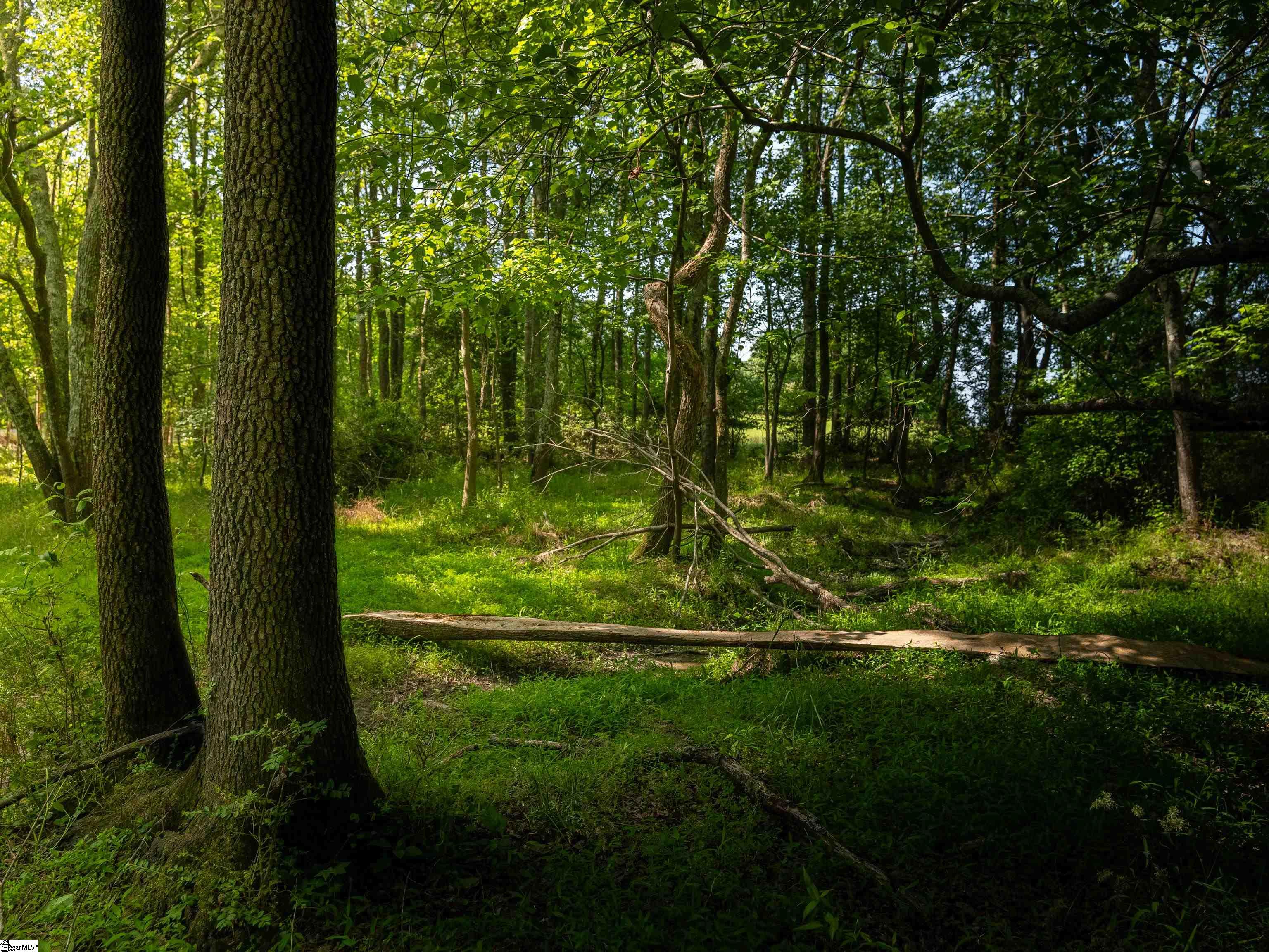 010 Holliday Dam Road Honea Path, SC 29654