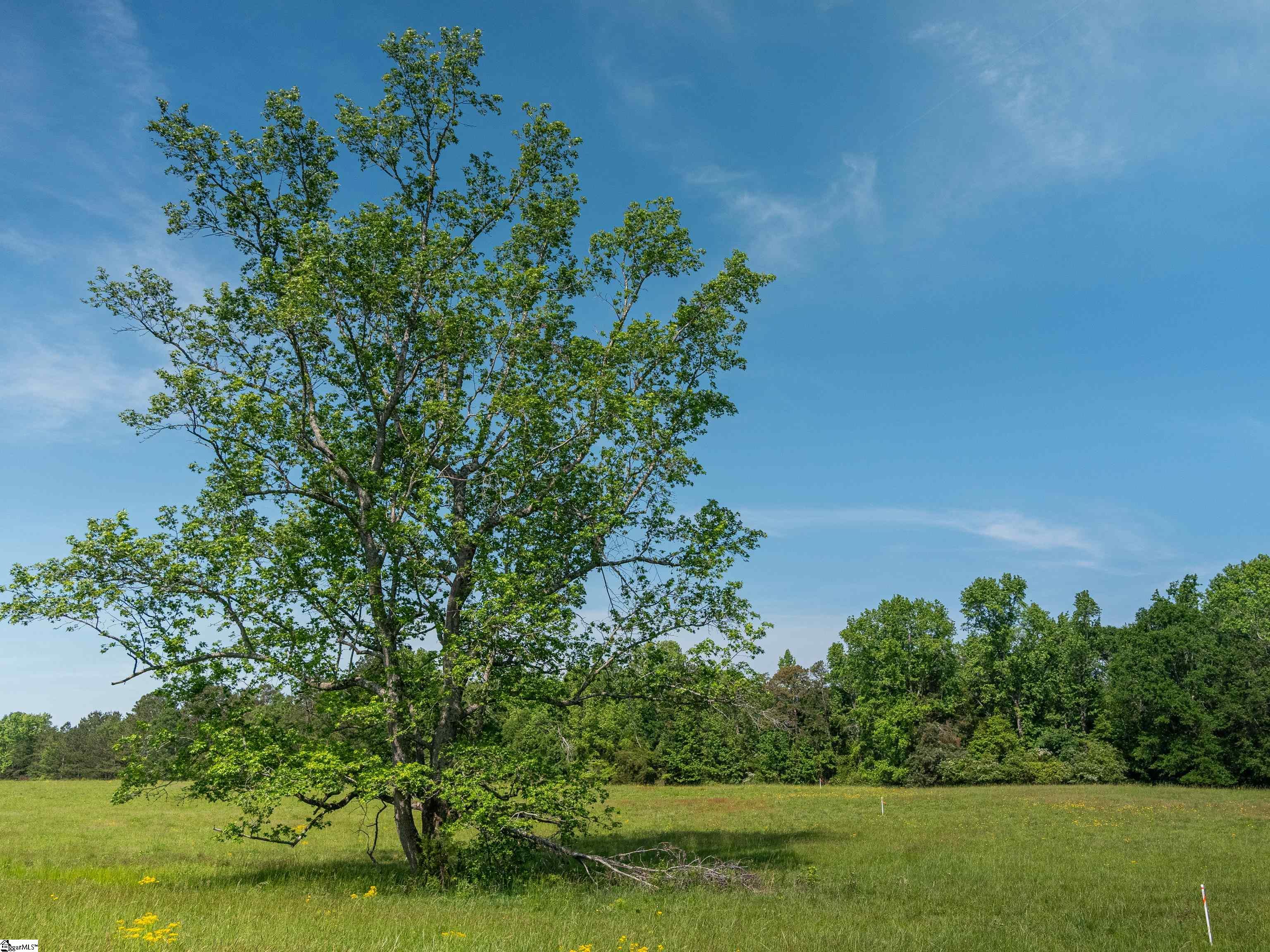 010 Holliday Dam Road Honea Path, SC 29654