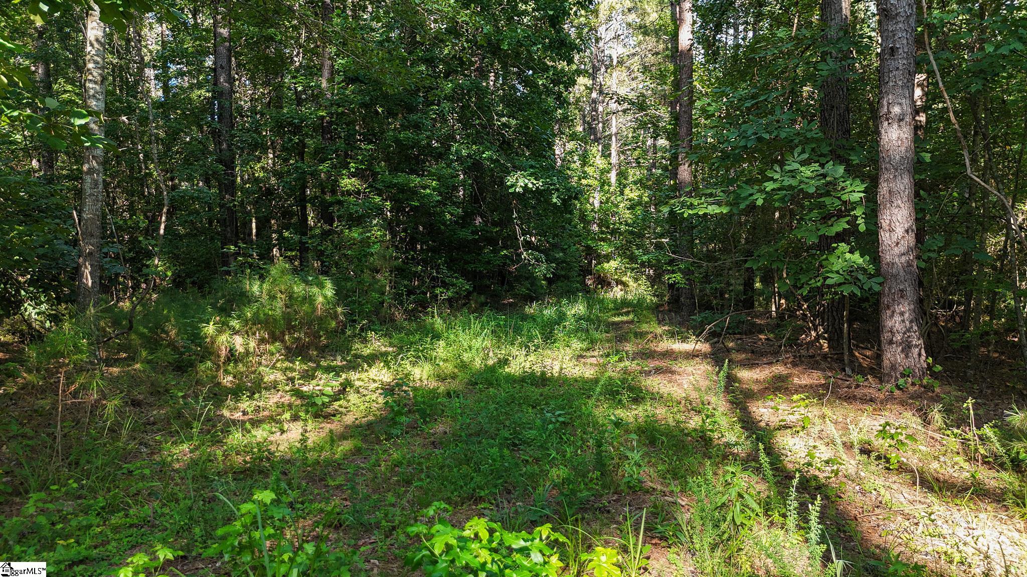00 Young Road Clinton, SC 29325