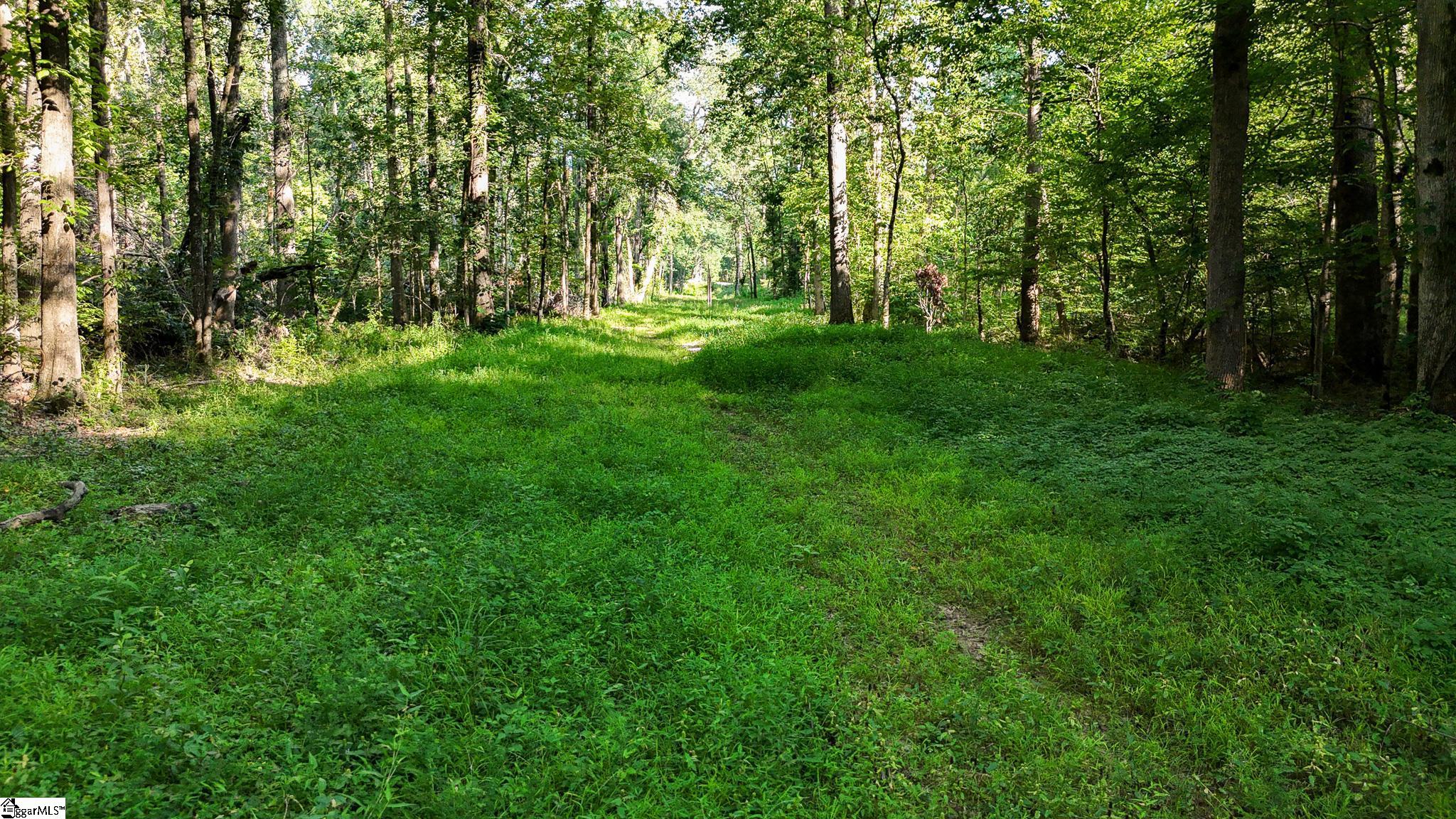 00 Young Road Clinton, SC 29325