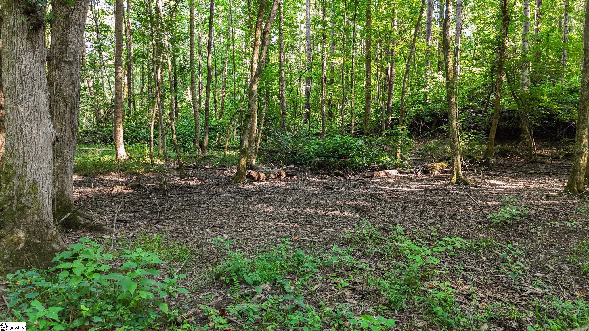 00 Young Road Clinton, SC 29325