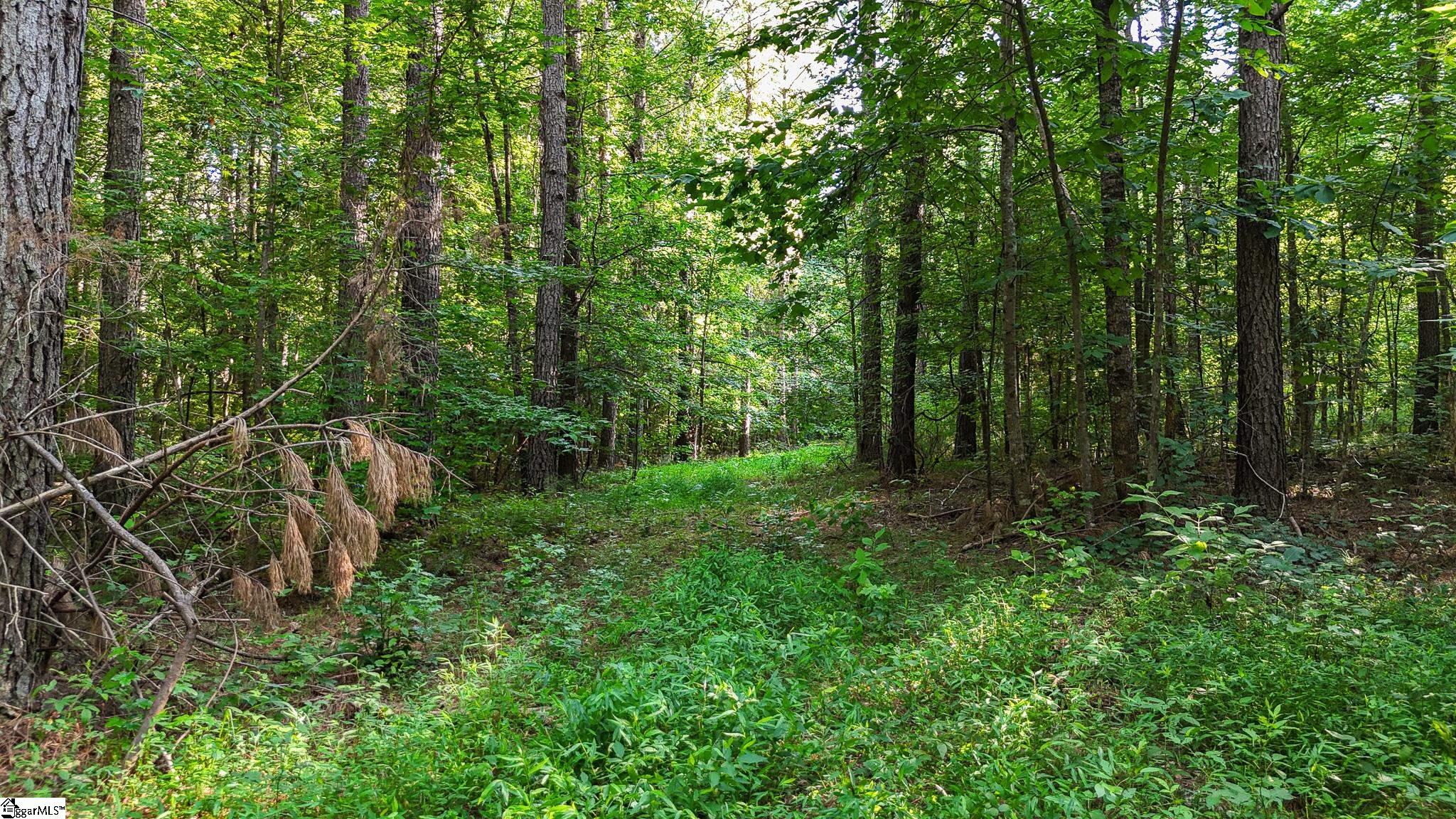 00 Young Road Clinton, SC 29325