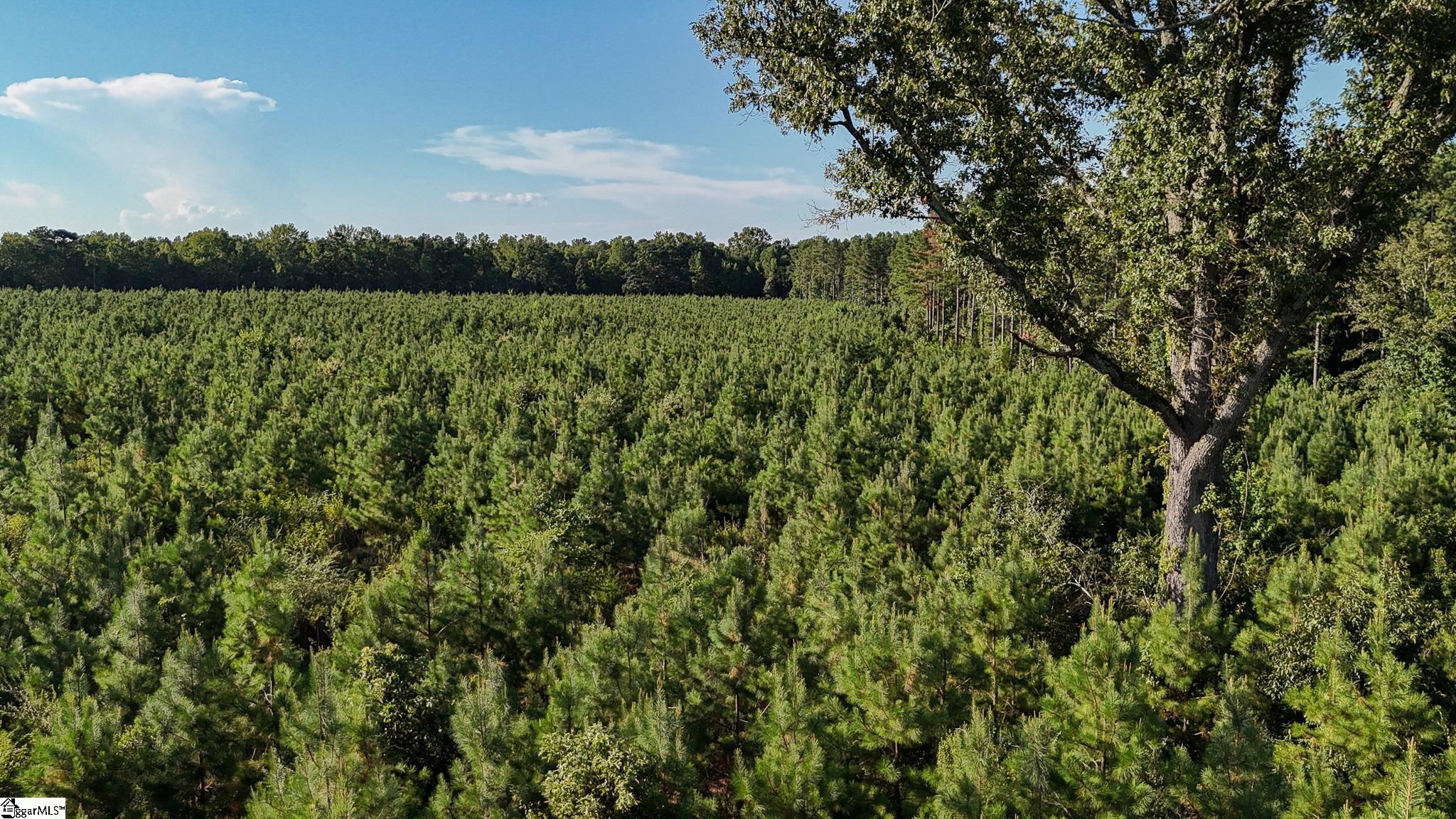 00 Young Road Clinton, SC 29325