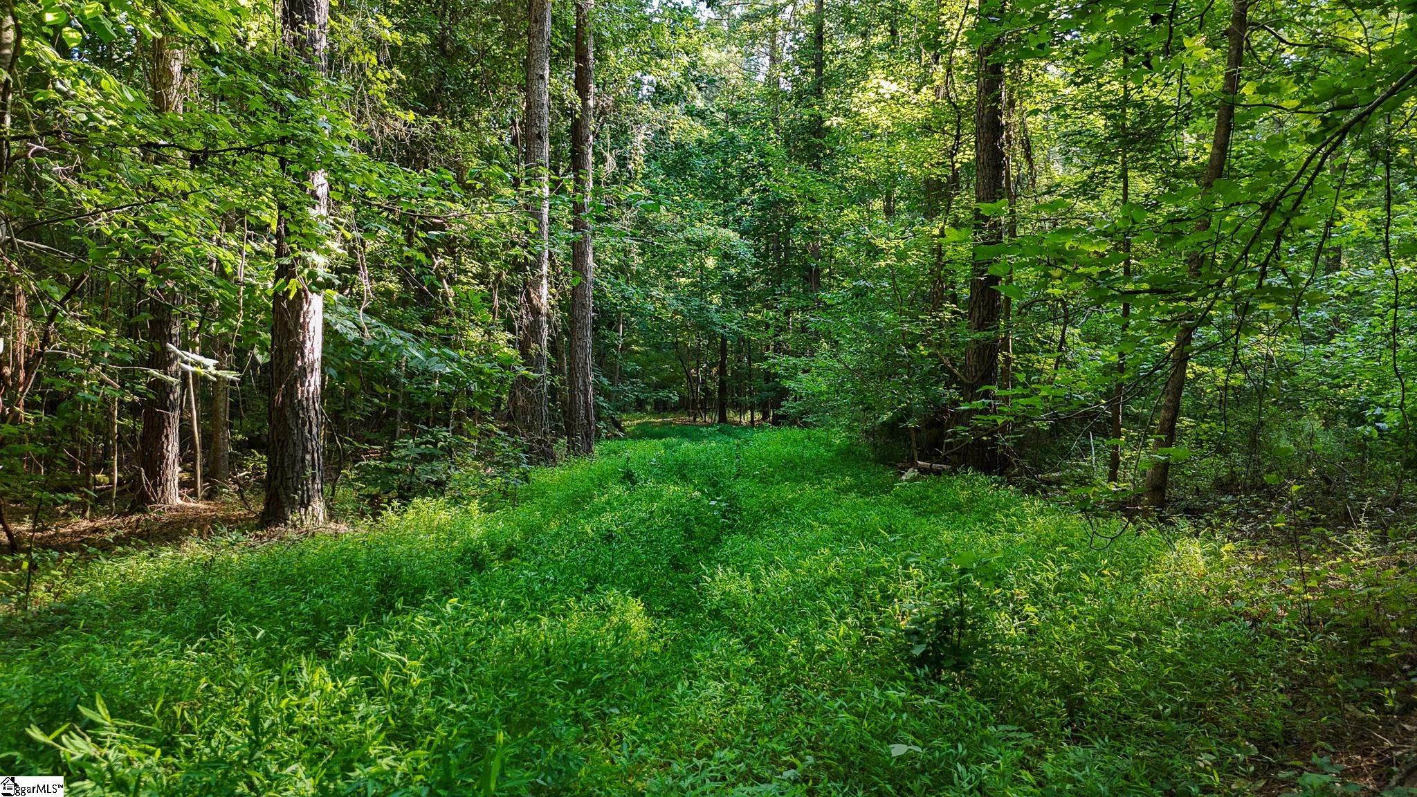 00 Young Road Clinton, SC 29325
