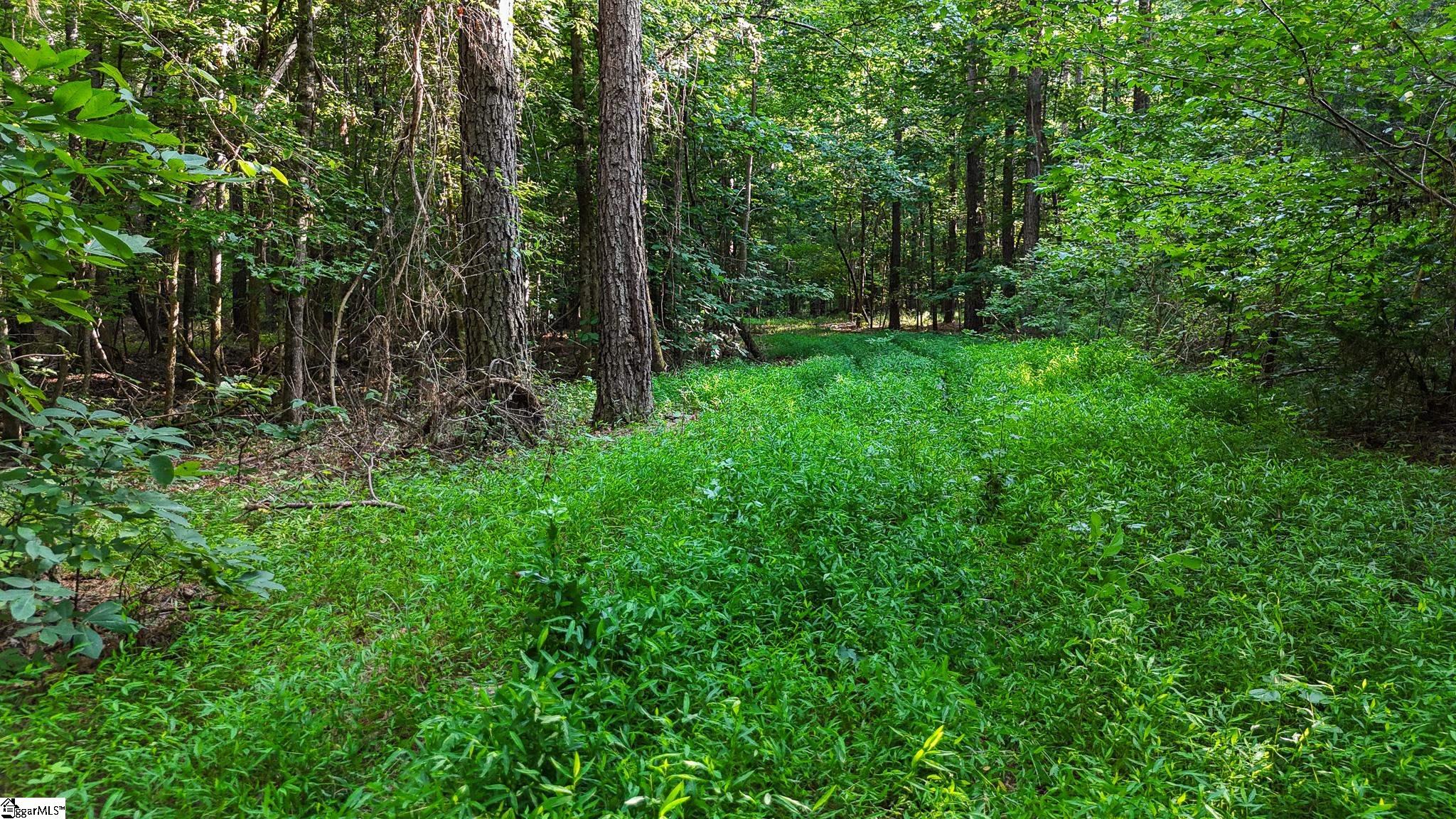 00 Young Road Clinton, SC 29325