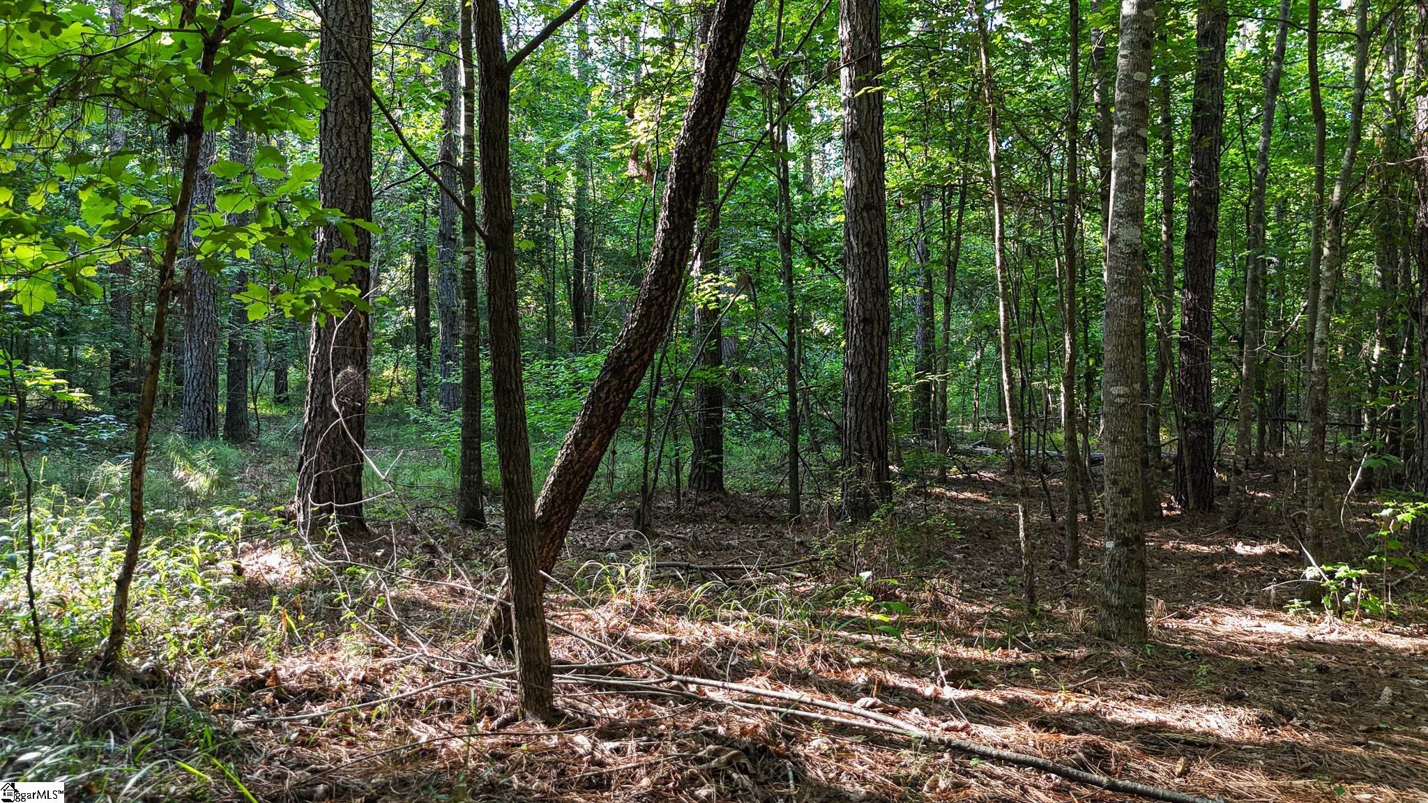 00 Young Road Clinton, SC 29325