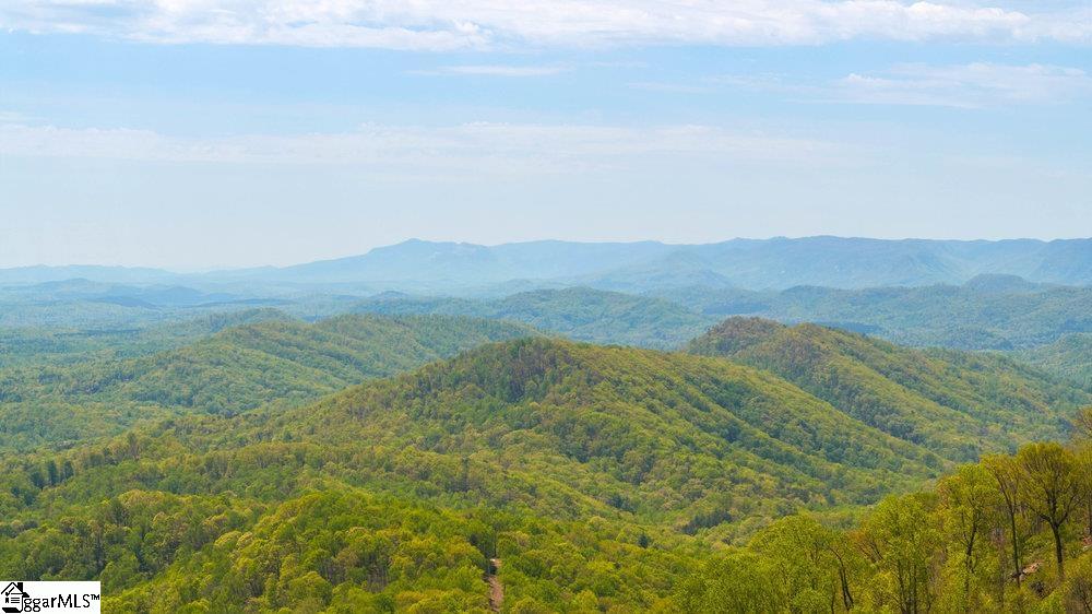 Mica Flat Drive Landrum, SC 29356
