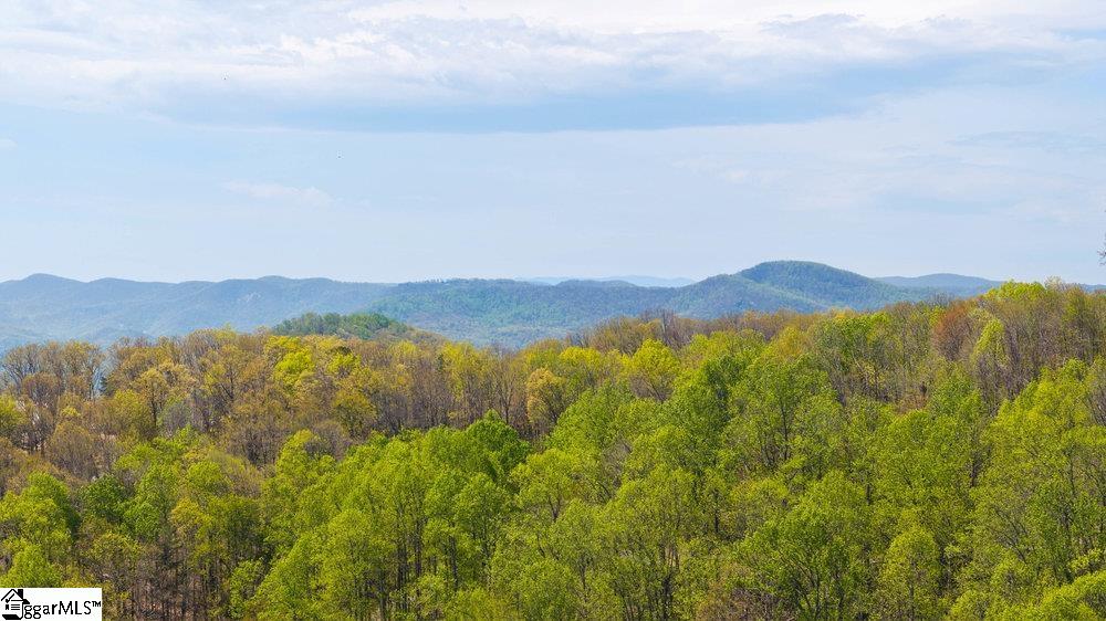 Mica Flat Drive Landrum, SC 29356