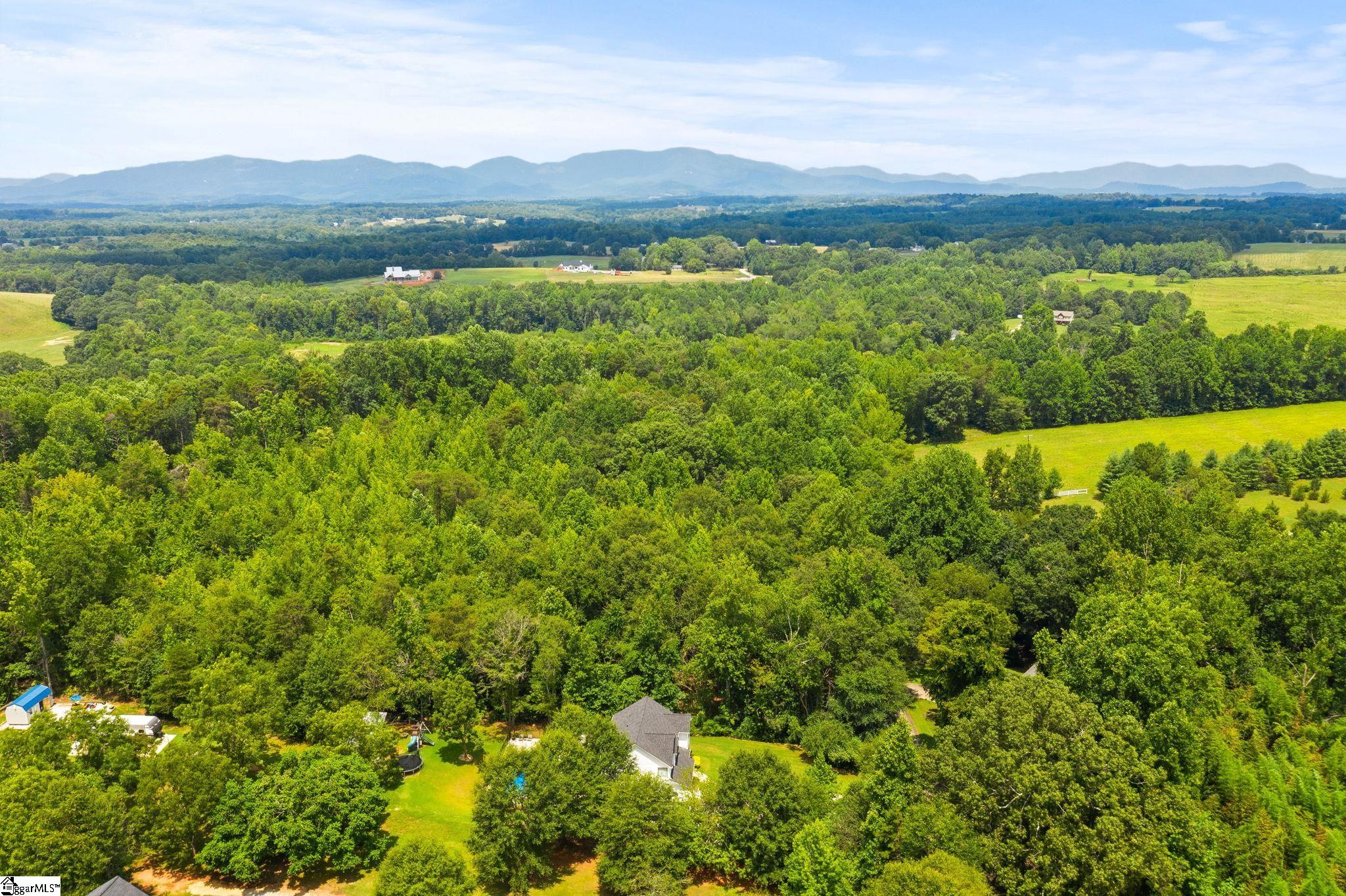 299 Nodine Road Campobello, SC 29322