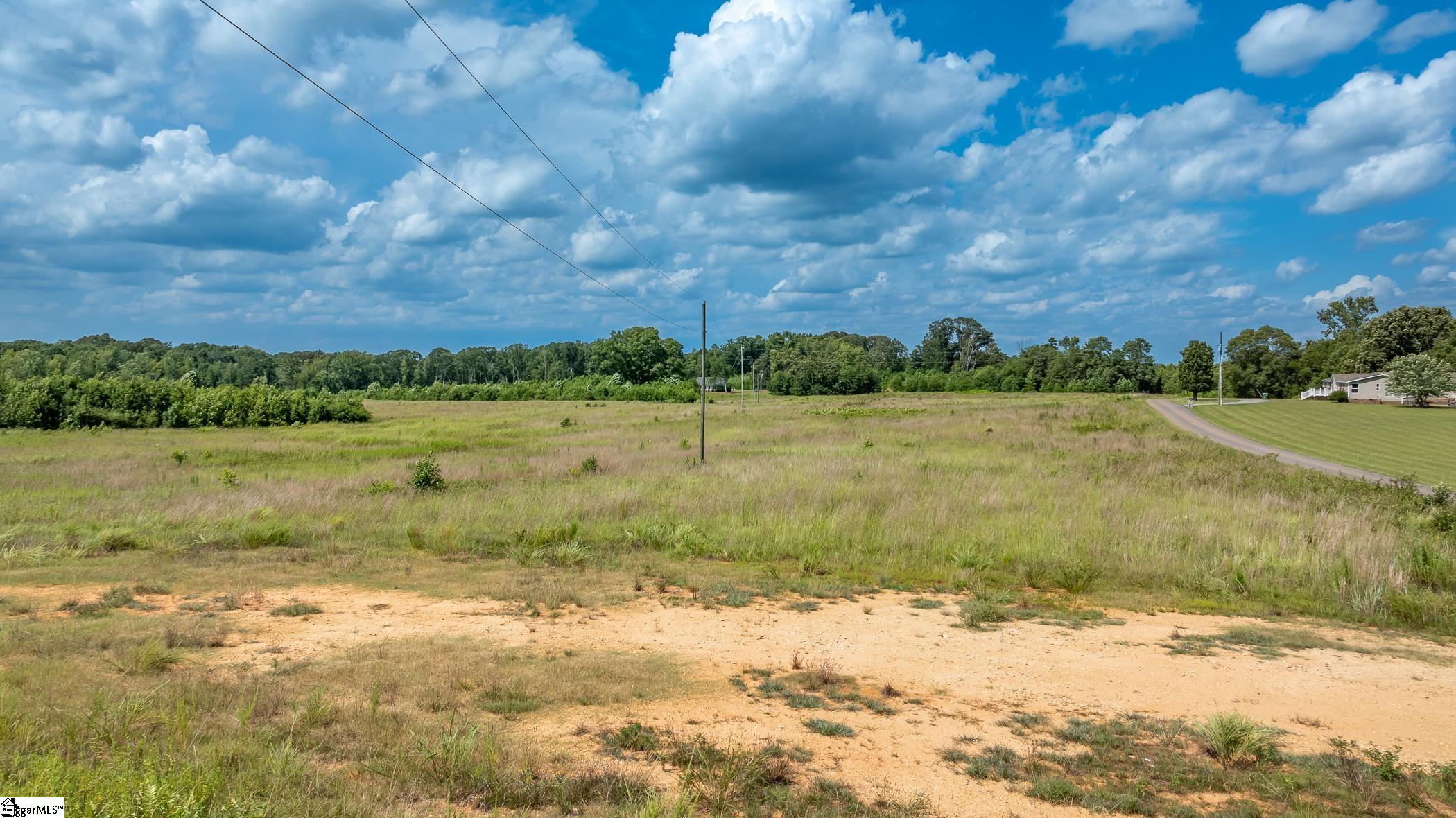 1147 Mount Vernon Church Road Laurens, SC 29360-7047