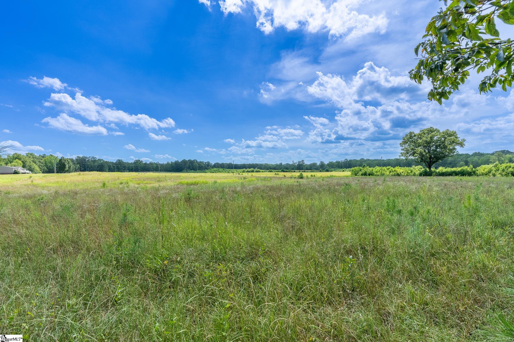 1147 Mount Vernon Church Road Laurens, SC 29360-7047