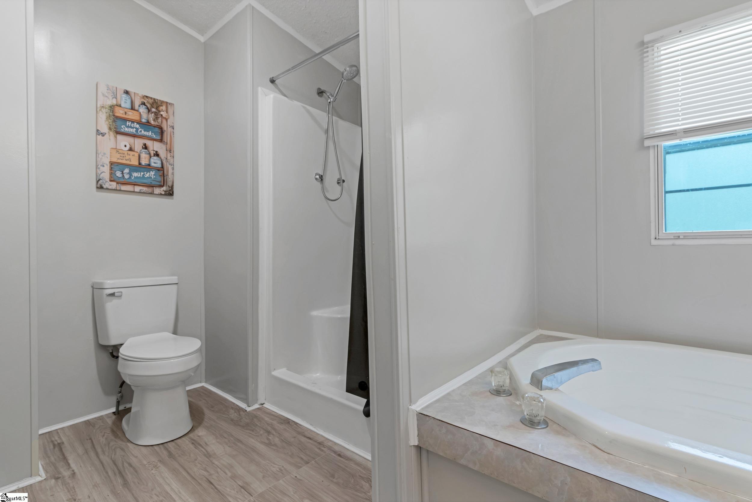 1298 Mordeci Mountain Road Gray Court, SC 29645