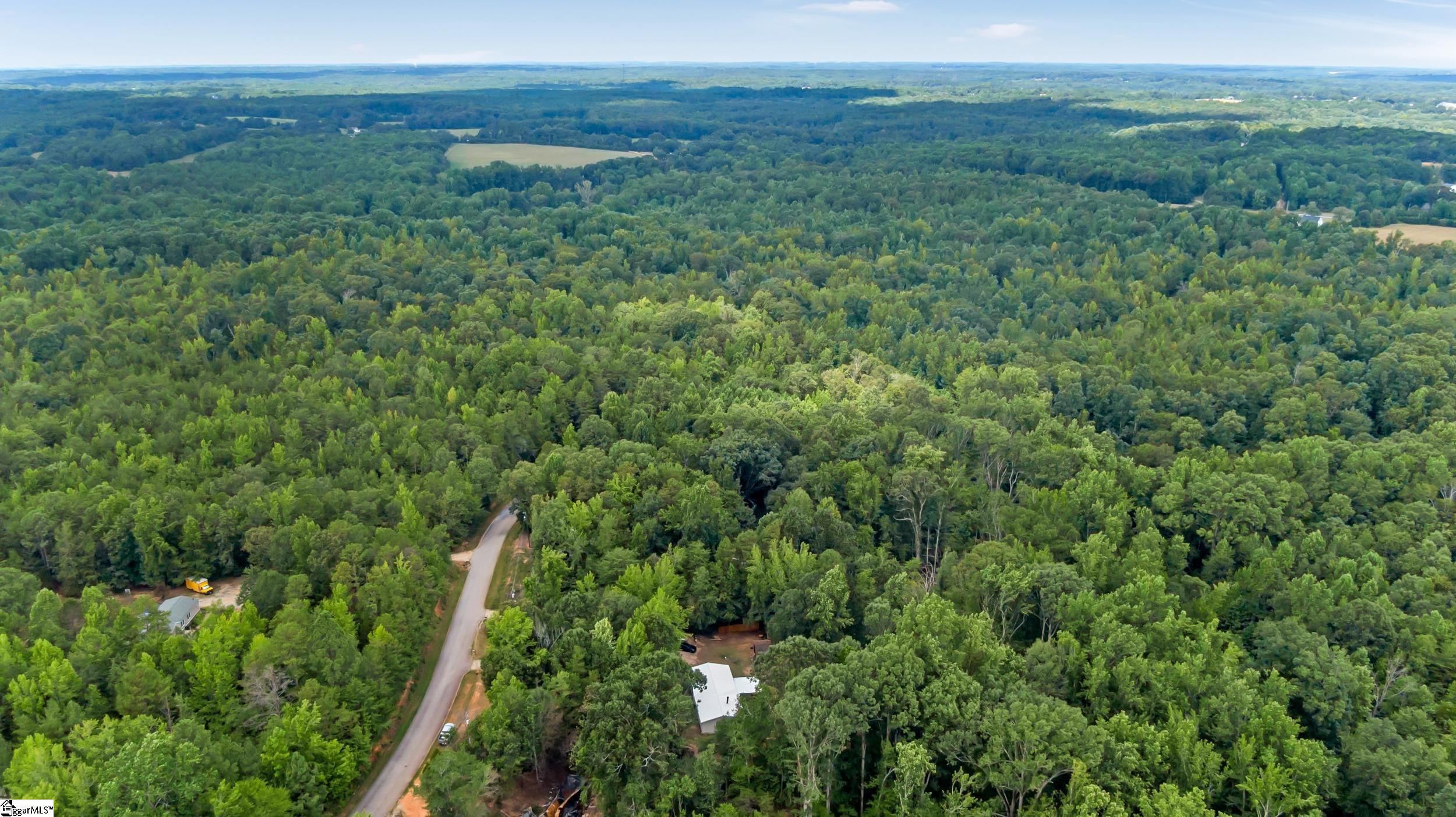1298 Mordeci Mountain Road Gray Court, SC 29645