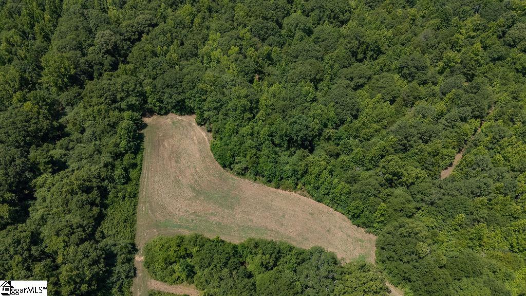 2935 Highway Laurens, SC 29360