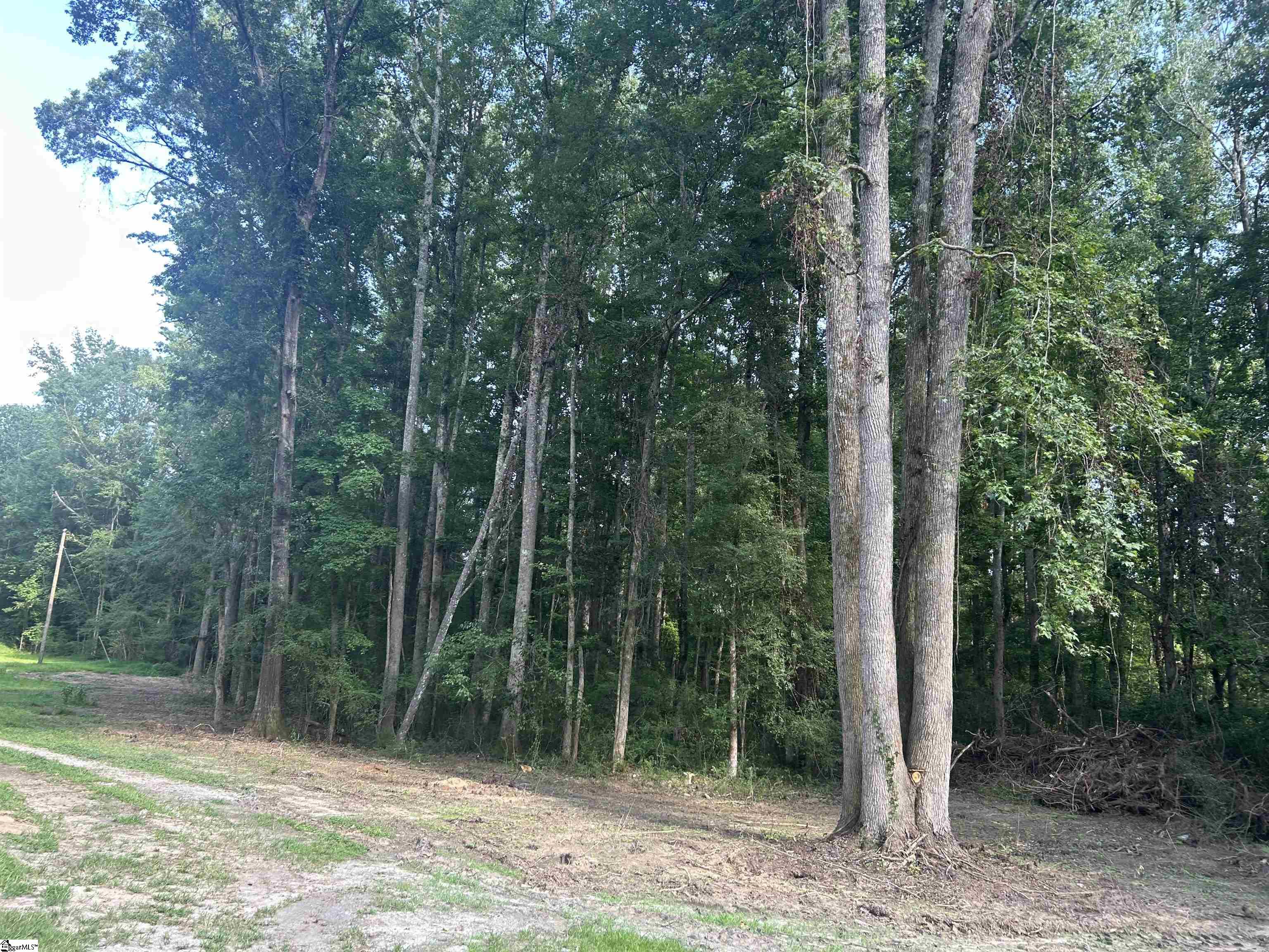 3153 Georgia Road Gray Court, SC 29645
