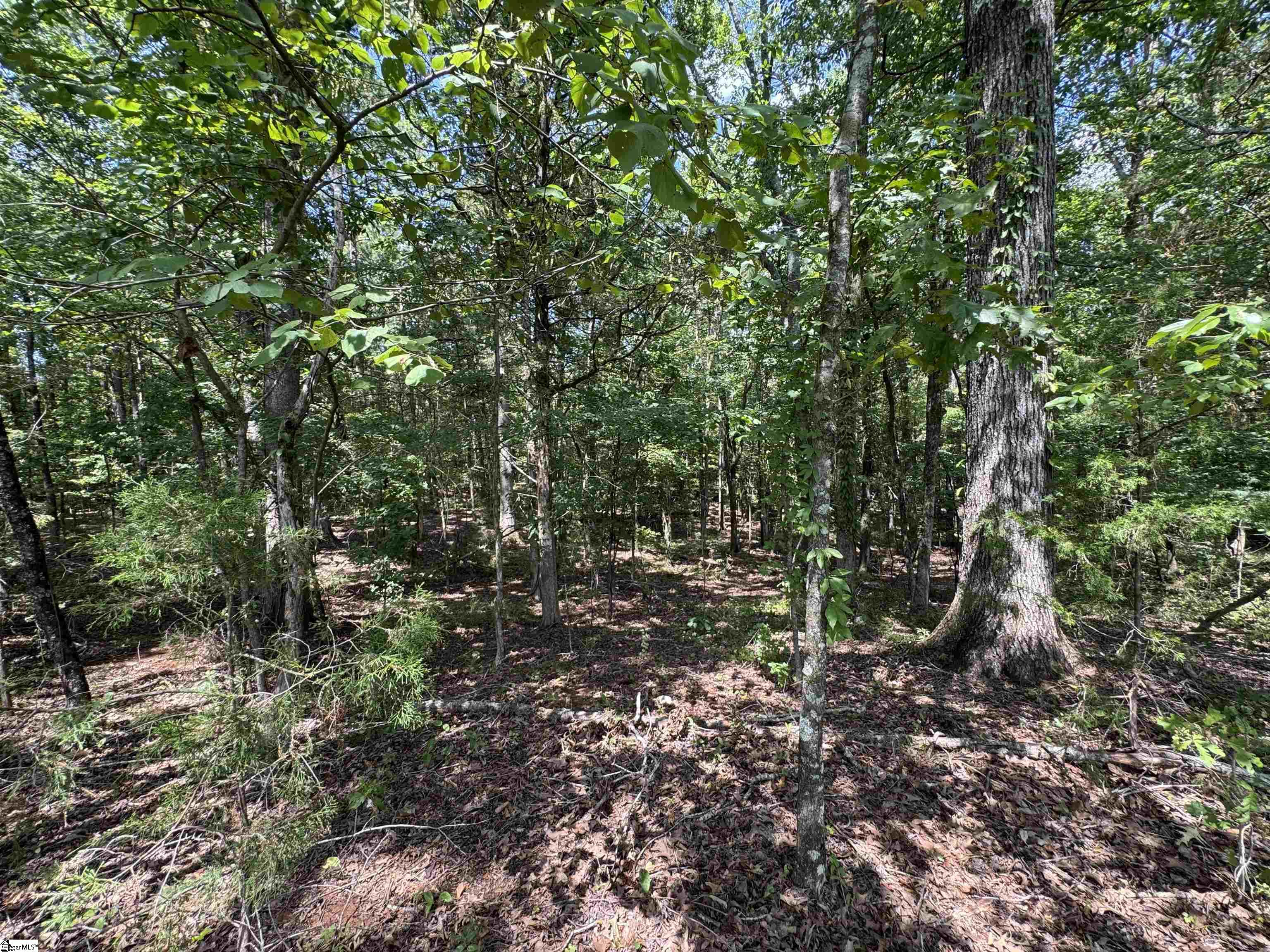 1324 Highway 81 N Calhoun Falls, SC 29628