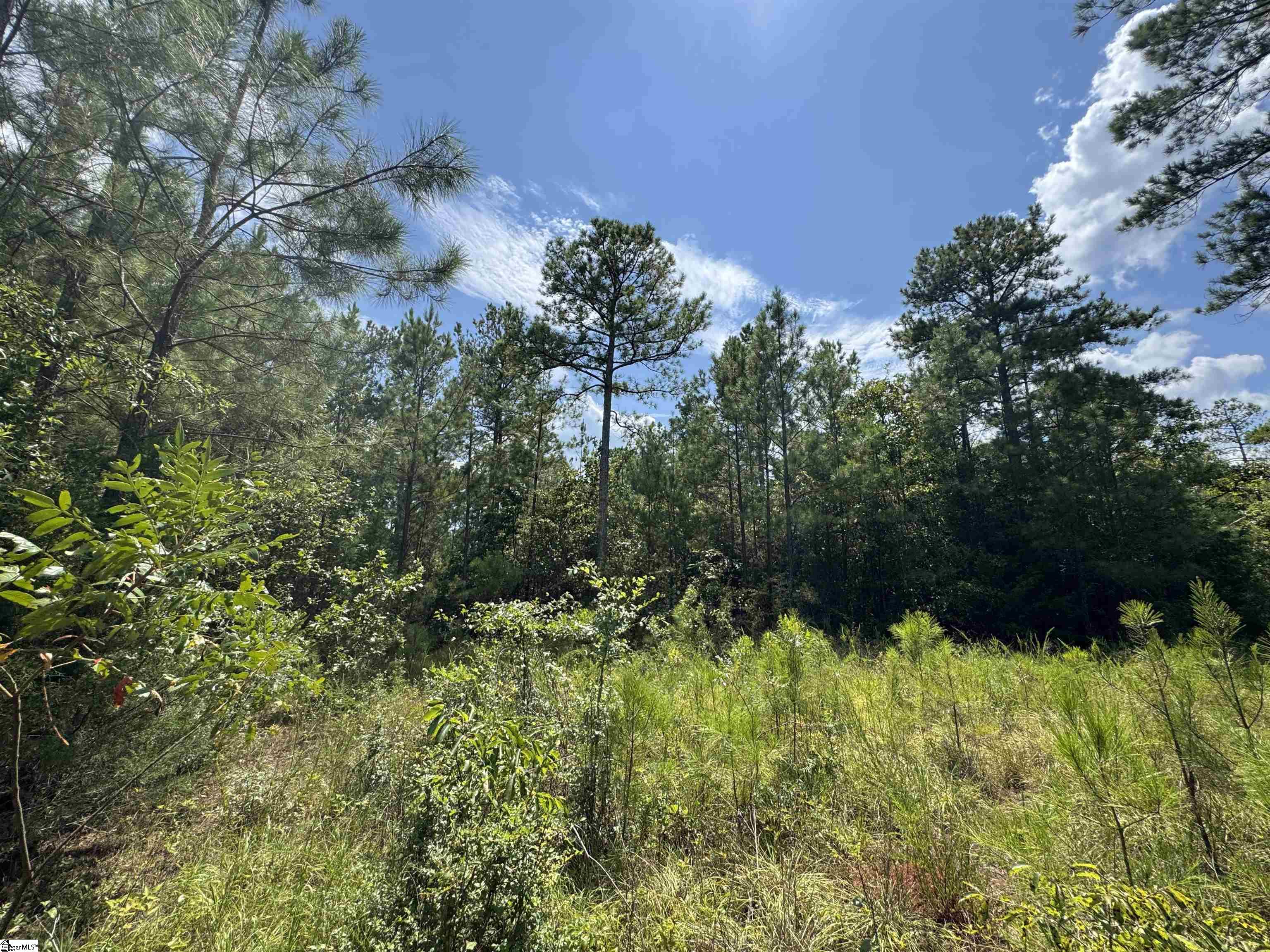 1324 Highway 81 N Calhoun Falls, SC 29628