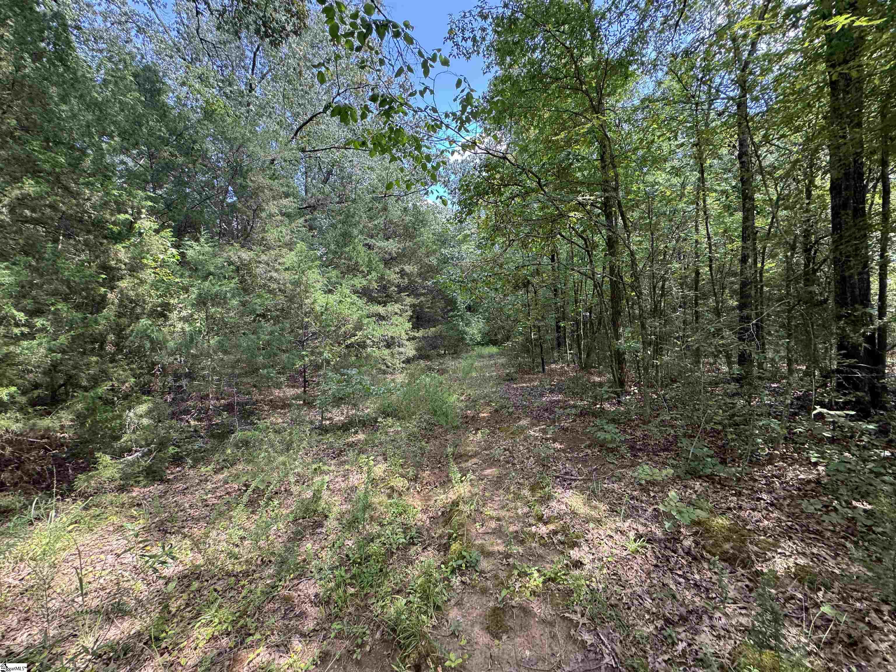 1324 Highway 81 N Calhoun Falls, SC 29628