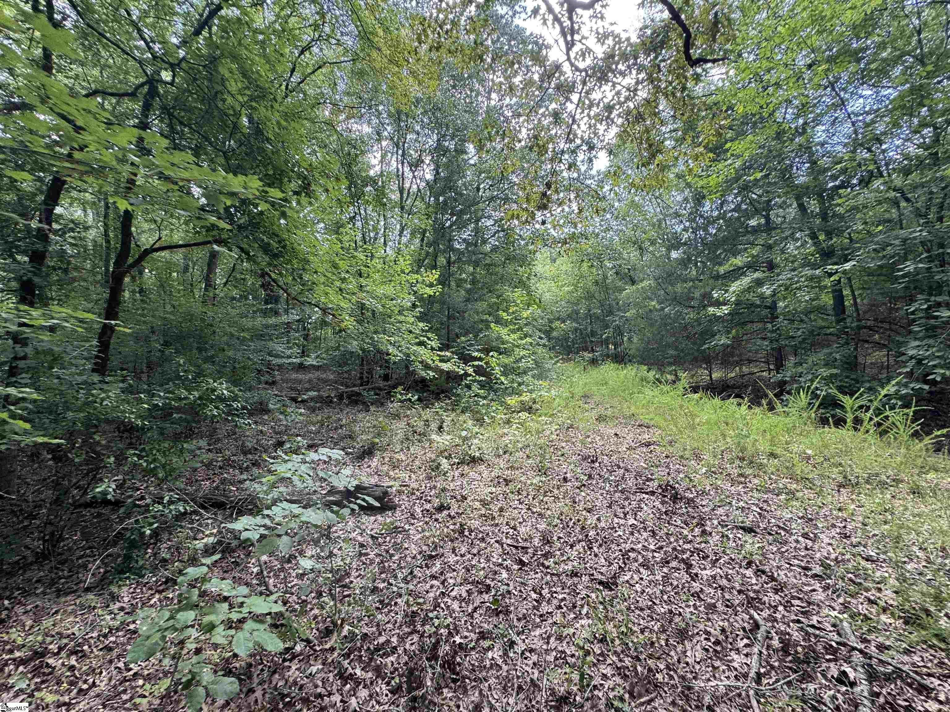 1324 Highway 81 N Calhoun Falls, SC 29628