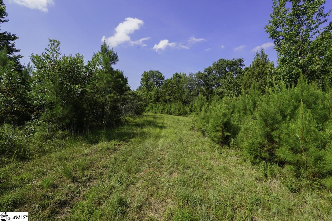 1560 Meansville Road Union, SC 29379