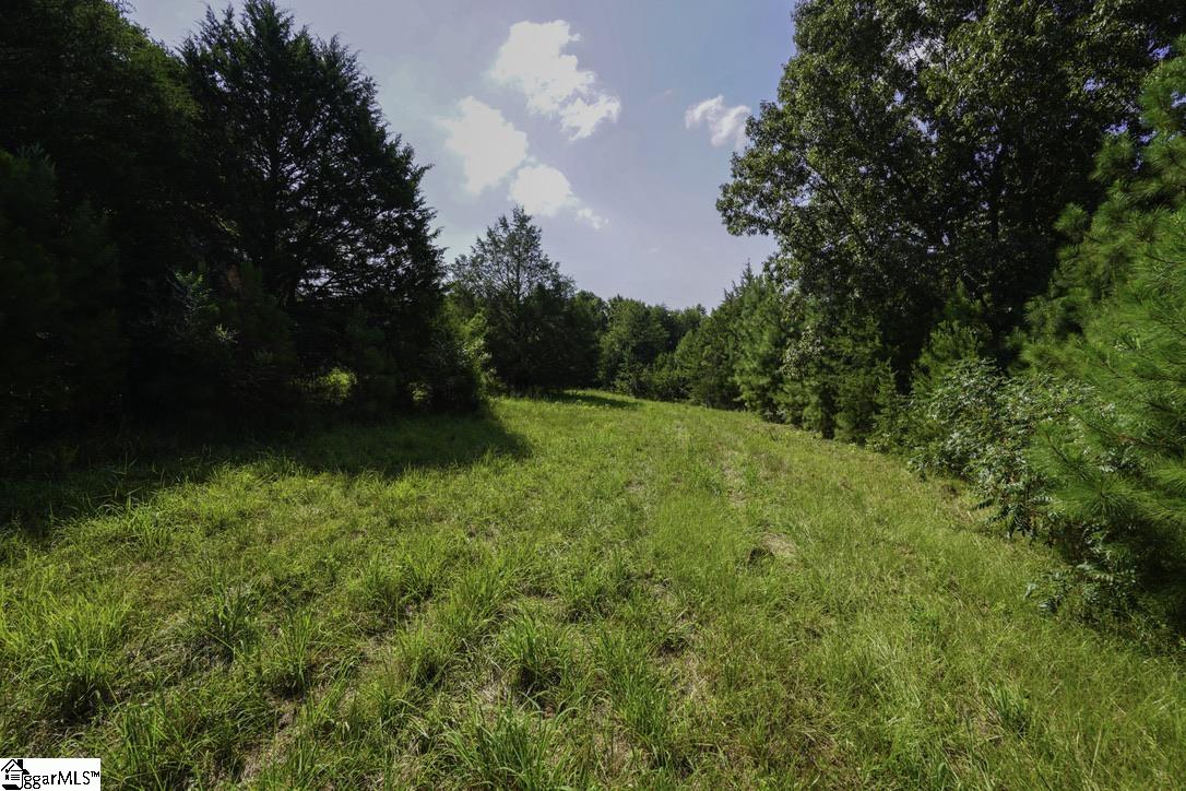 1560 Meansville Road Union, SC 29379