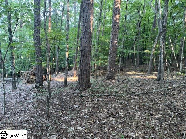 Pinewood Road Spartanburg, SC 29302