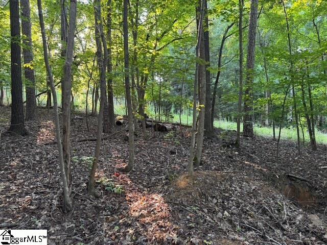Pinewood Road Spartanburg, SC 29302