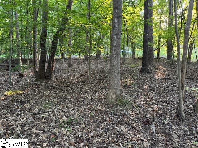 Pinewood Road Spartanburg, SC 29302