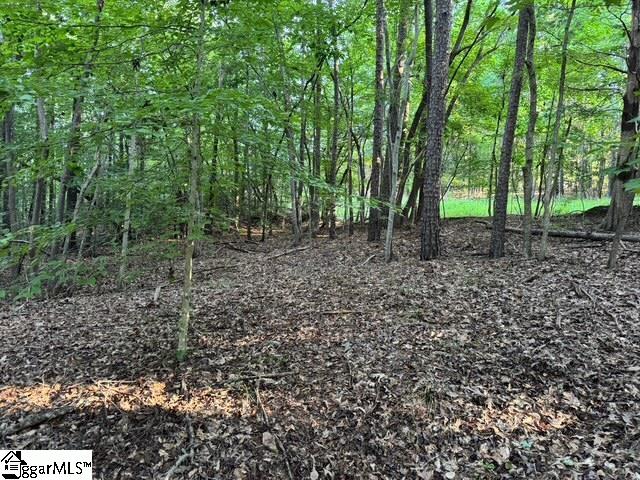 Pinewood Road Spartanburg, SC 29302