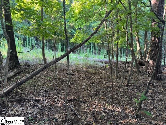 Pinewood Road Spartanburg, SC 29302