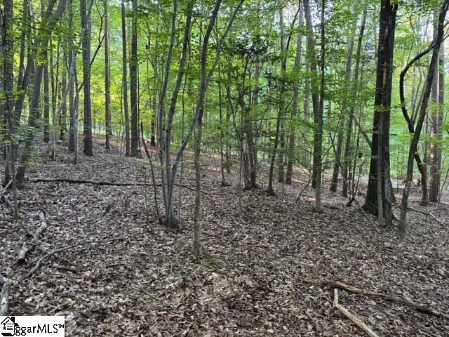 Pinewood Road Spartanburg, SC 29302
