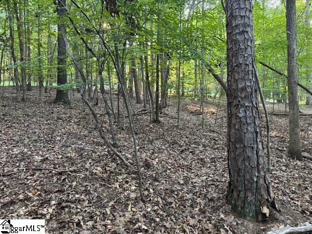 Pinewood Road Spartanburg, SC 29302