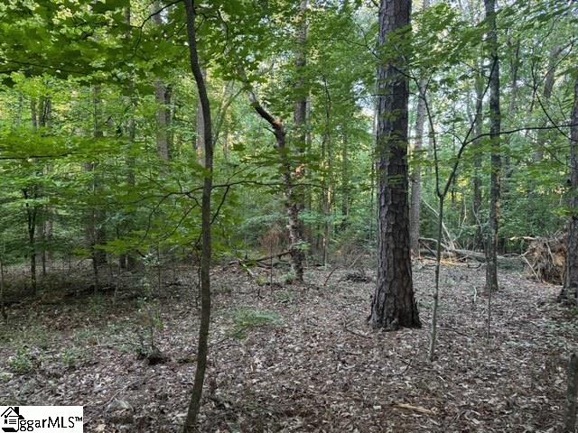 Pinewood Road Spartanburg, SC 29302