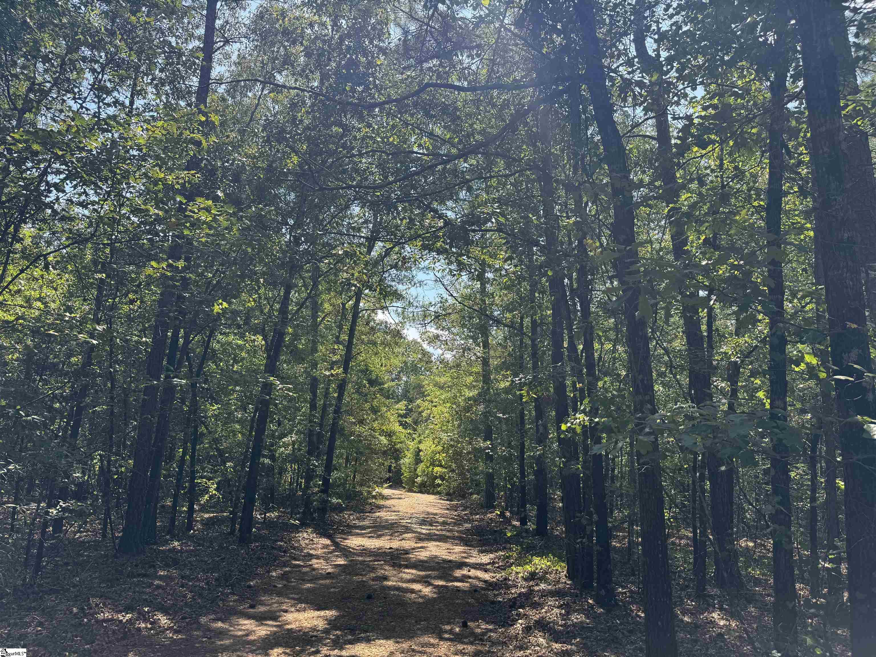 1324 Highway 81 N Calhoun Falls, SC 29628
